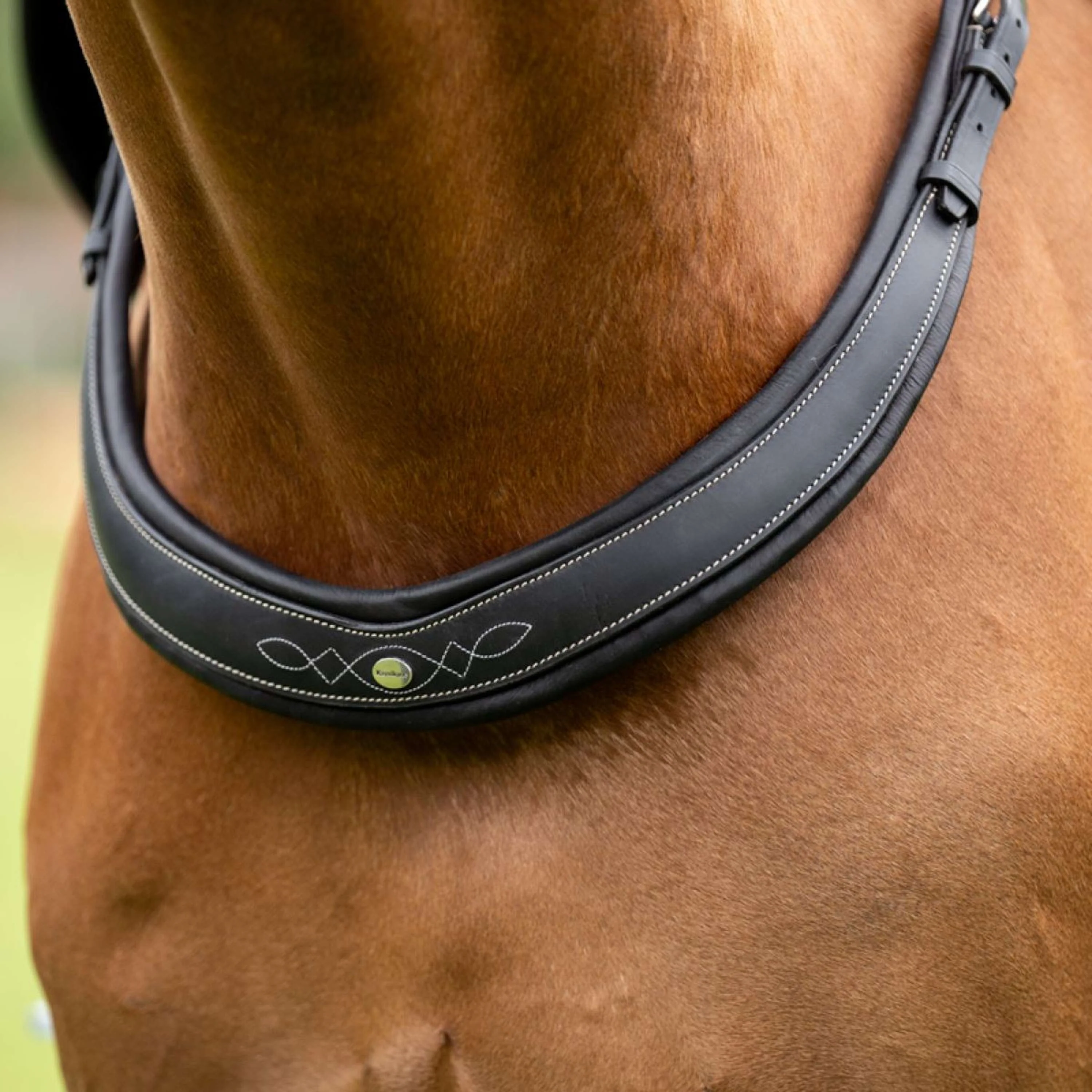 Kavalkade Collier de Chasse Jerome 2-Points Noir - Image 6