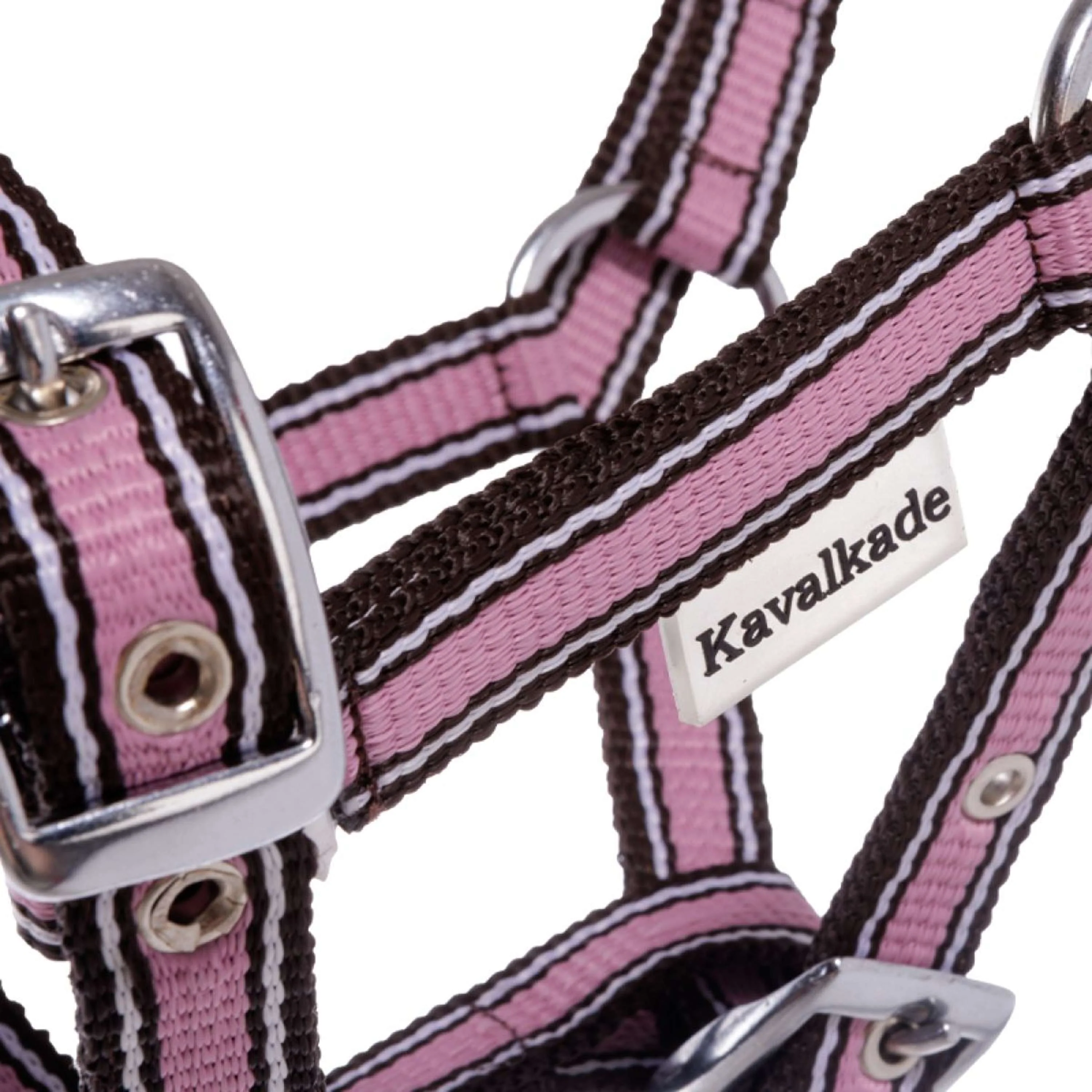 Kavalkade Licol Poulain et Yearling Rose - Image 3