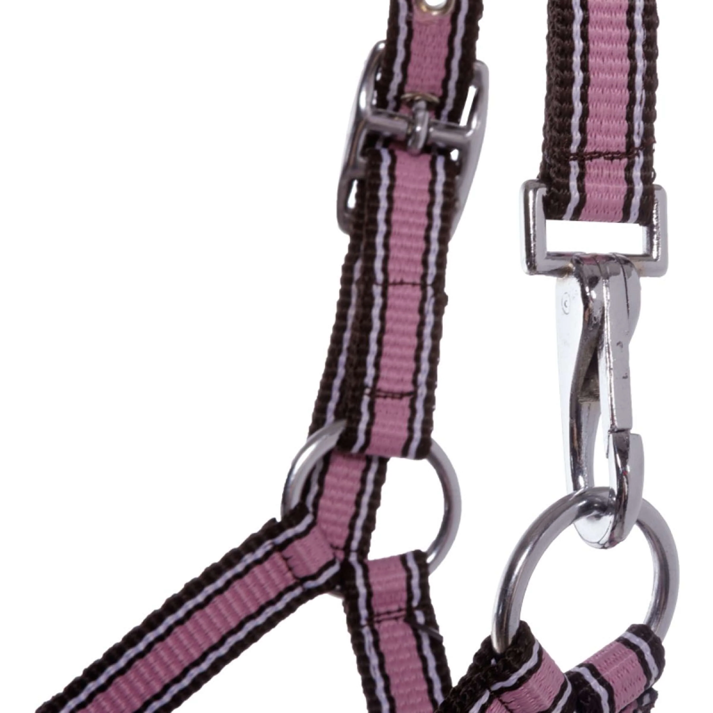 Kavalkade Licol Poulain et Yearling Rose - Image 4
