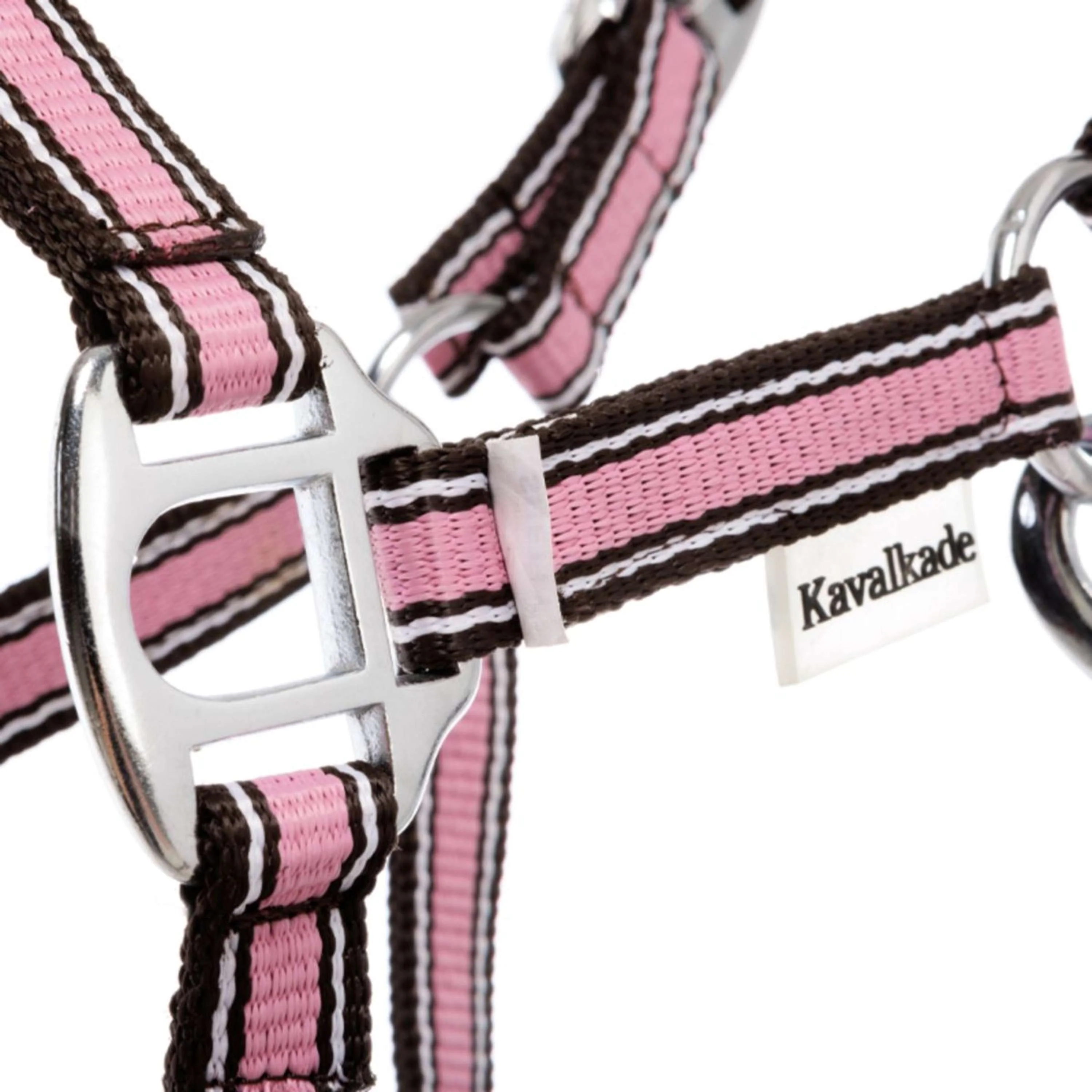 Kavalkade Licol Shorty Rose - Image 3