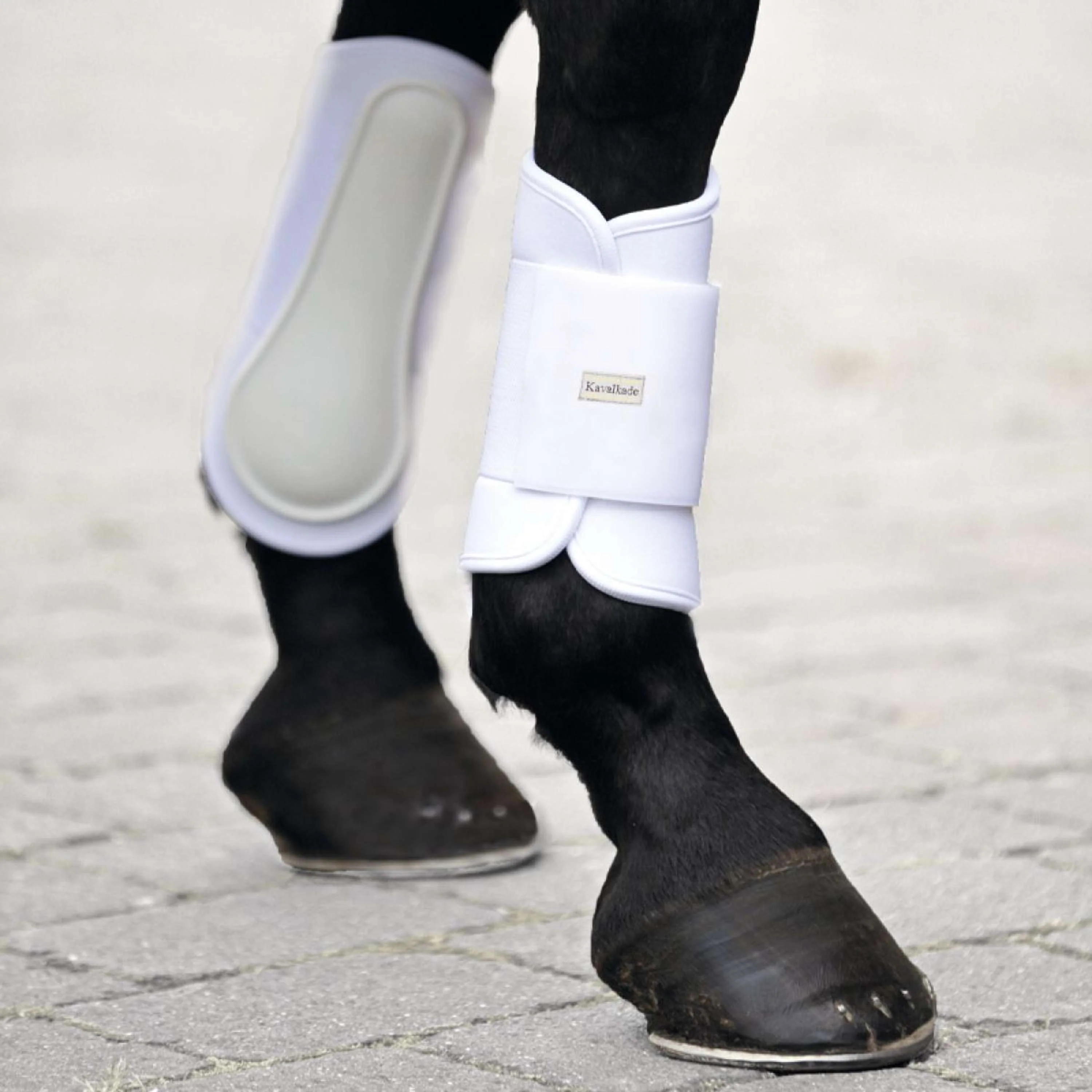 Kavalkade Protèges-Tendons Softy Jambes Avant Blanc
