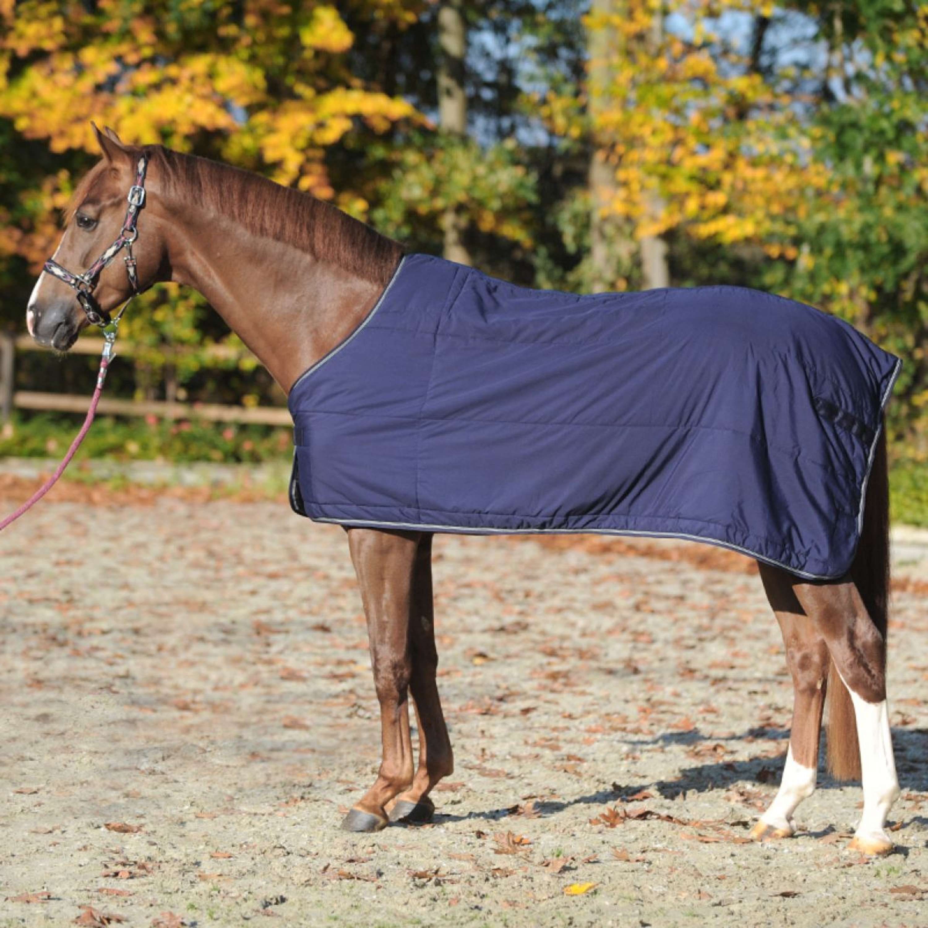 Kavalkade Sous-Couverture 150g Marin