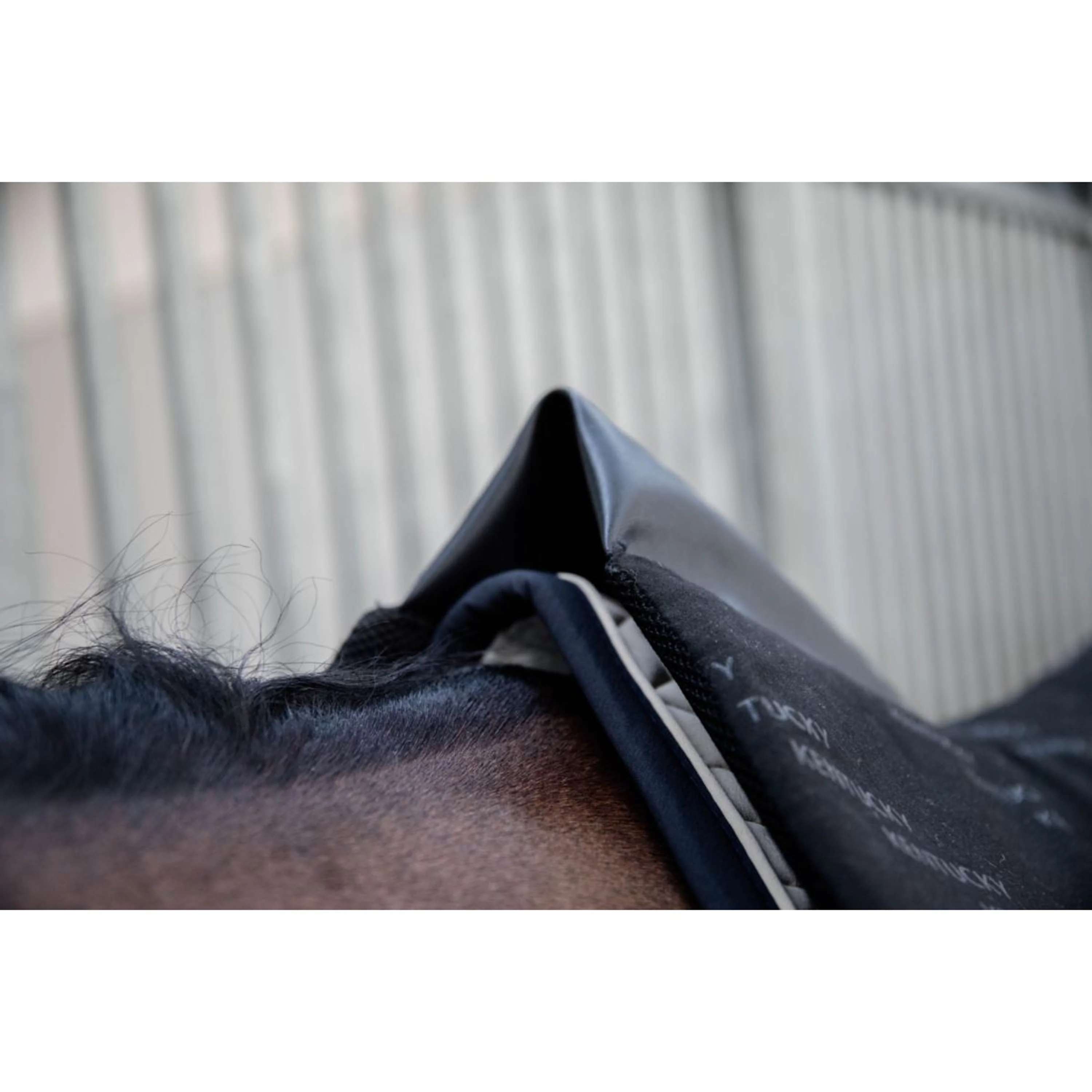 Kentucky Amortisseur Impact Equalizer Noir - Image 4