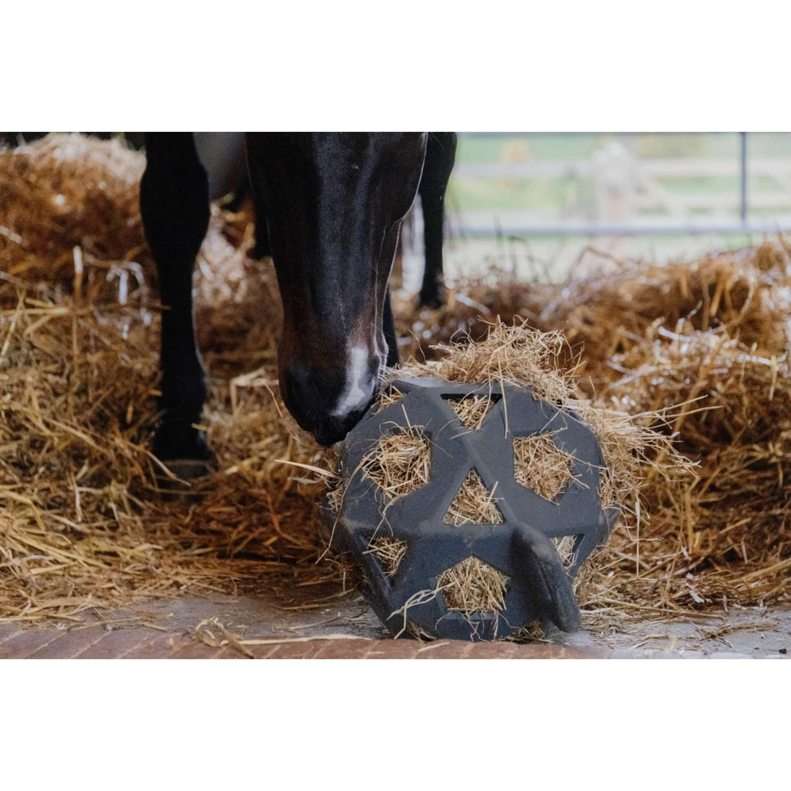 Kentucky Balle de Jeu Play & Hay Gris - Image 2