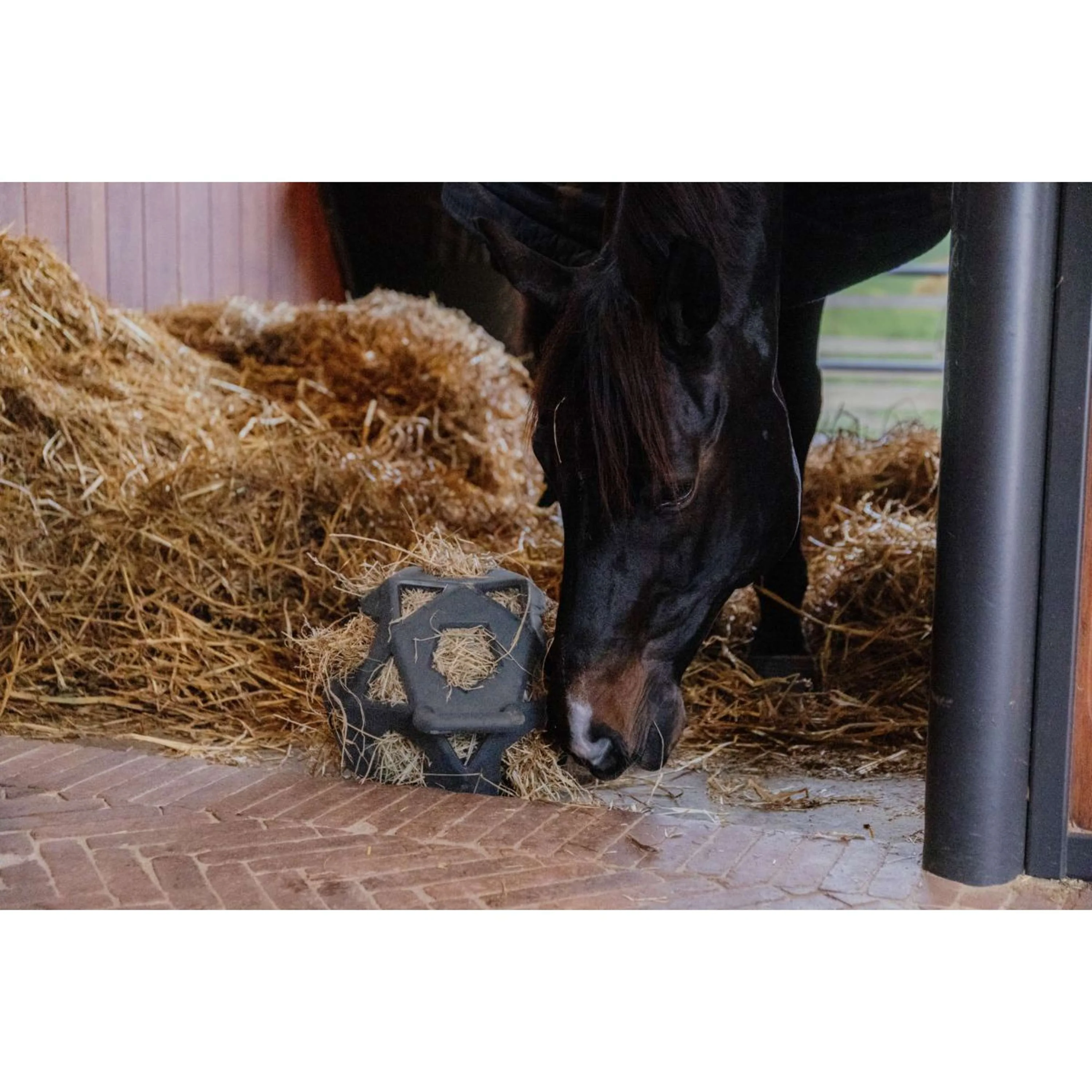 Kentucky Balle de Jeu Play & Hay Gris - Image 3