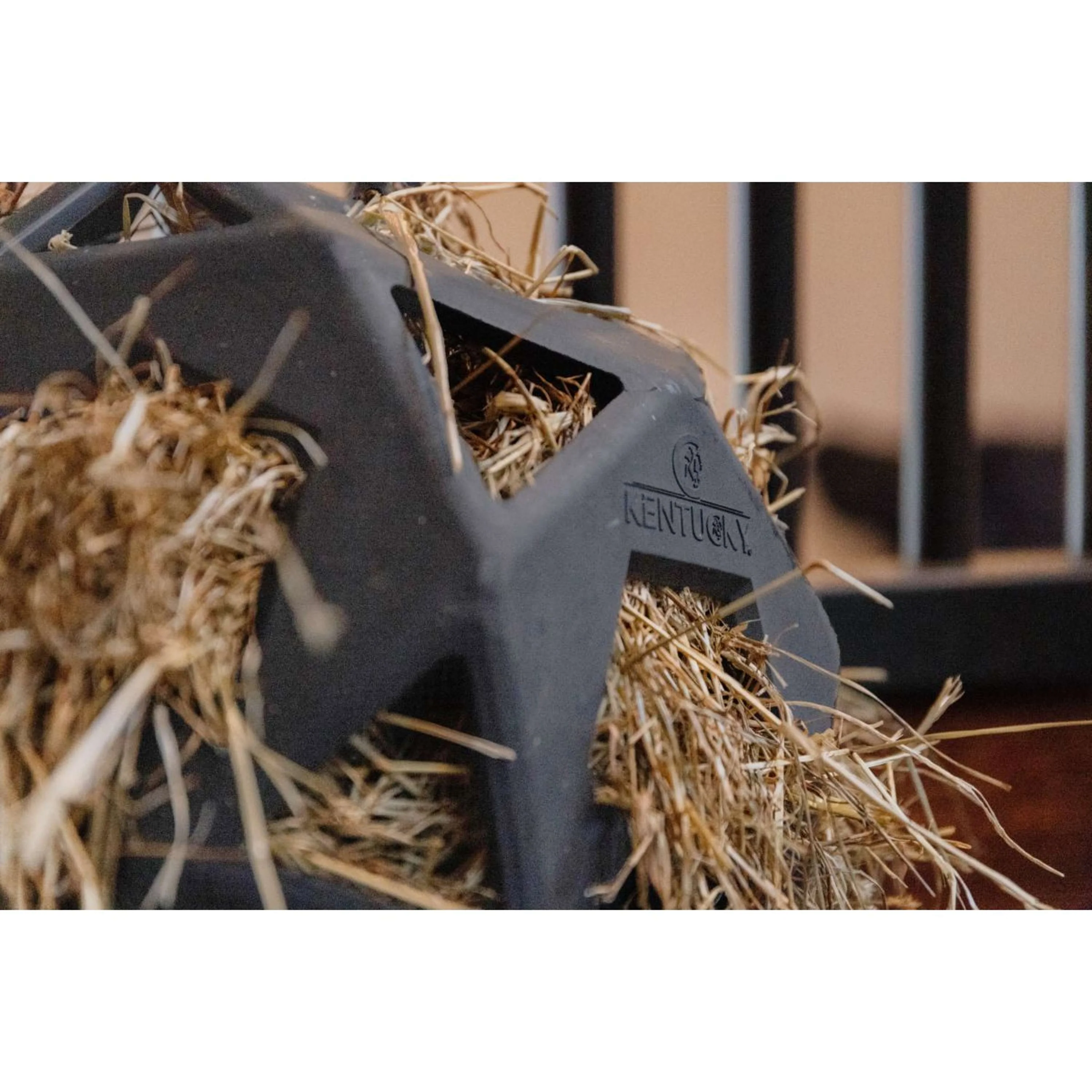 Kentucky Balle de Jeu Play & Hay Gris - Image 4