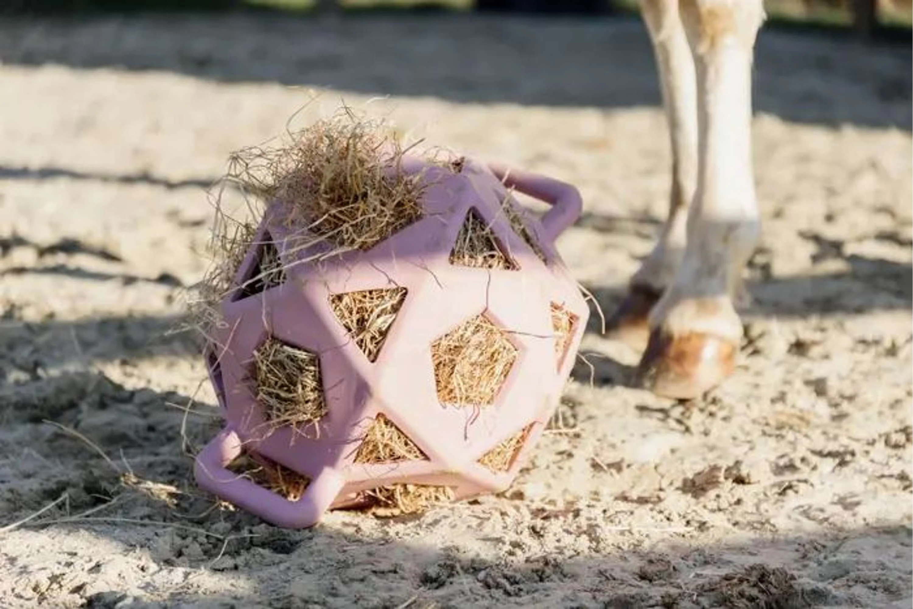 Kentucky Balle de Jeu Play & Hay Rose Vieux - Image 3