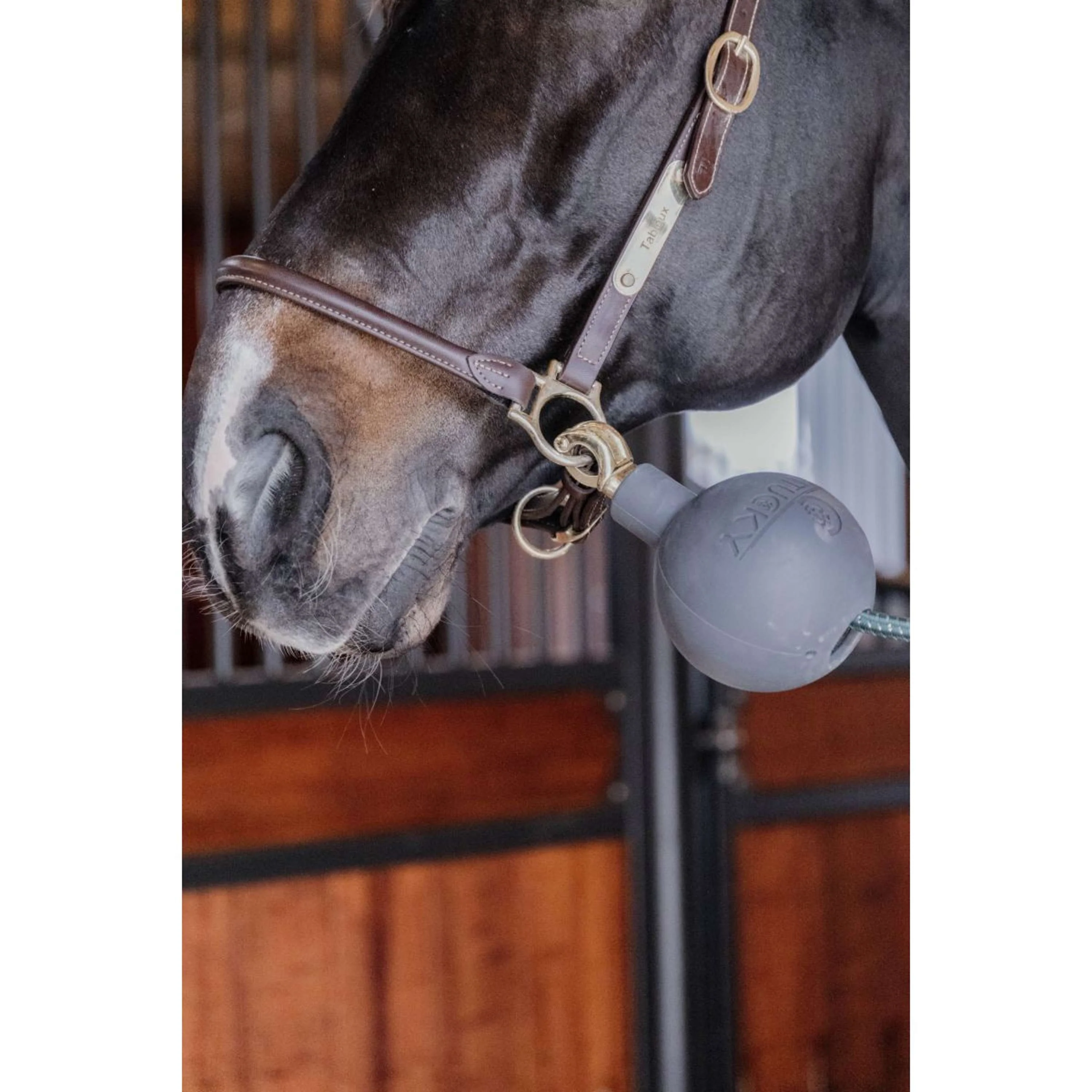 Kentucky Balle de Protection Rubber Gris - Image 4