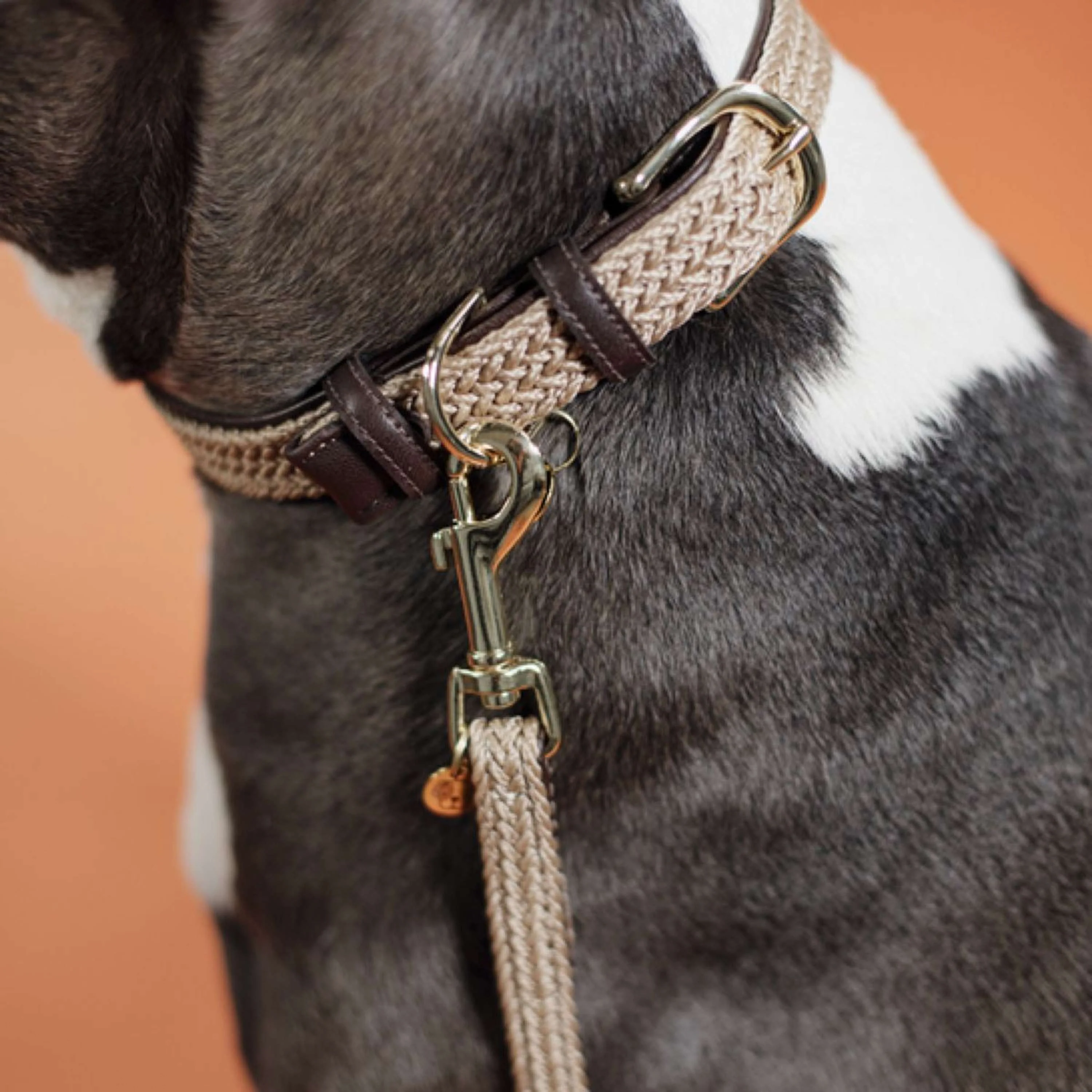 Kentucky Collier Plaited Nylon Beige - Image 2