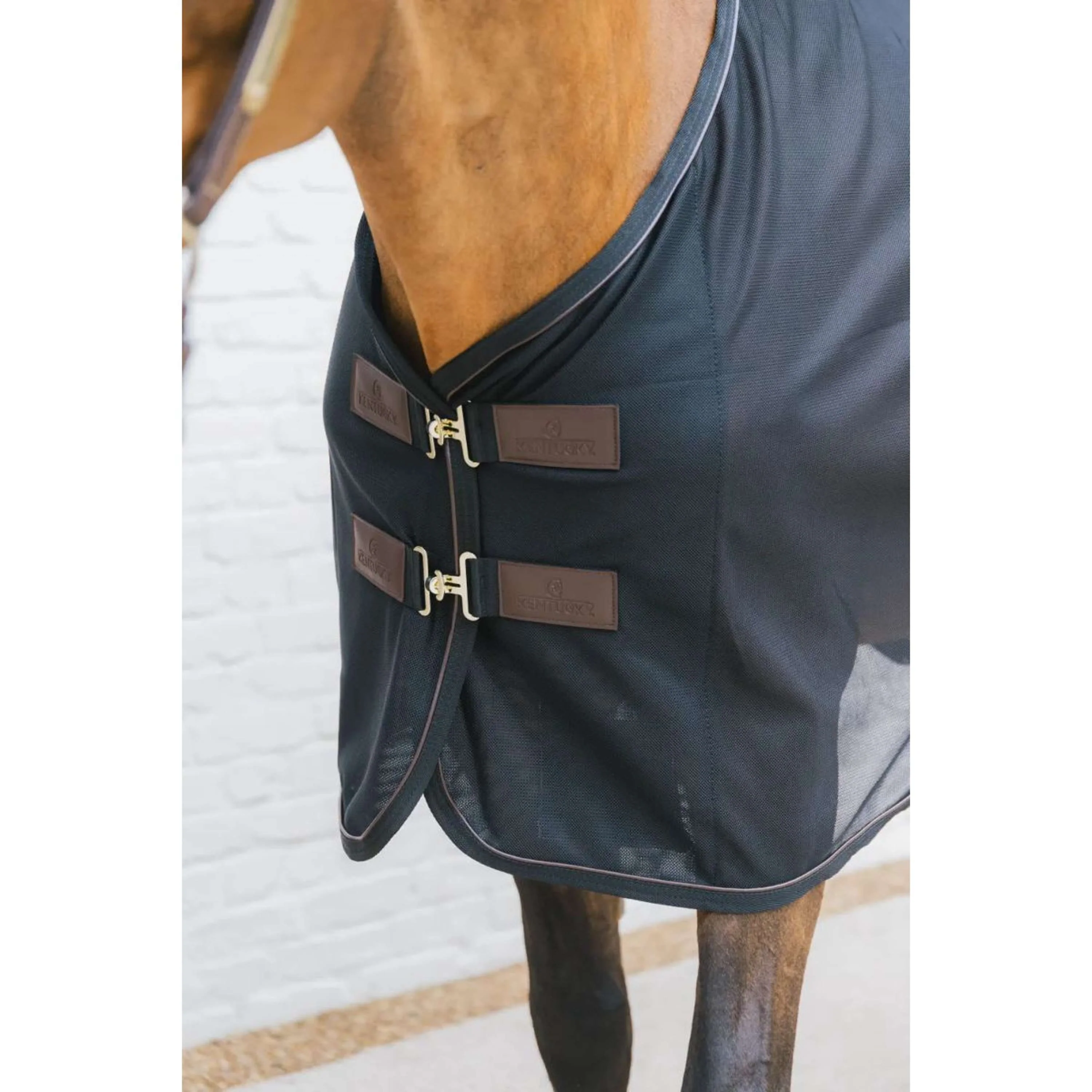 Kentucky Couverture Anti-Mouches Mesh Noir 125/175 Noir - Image 4