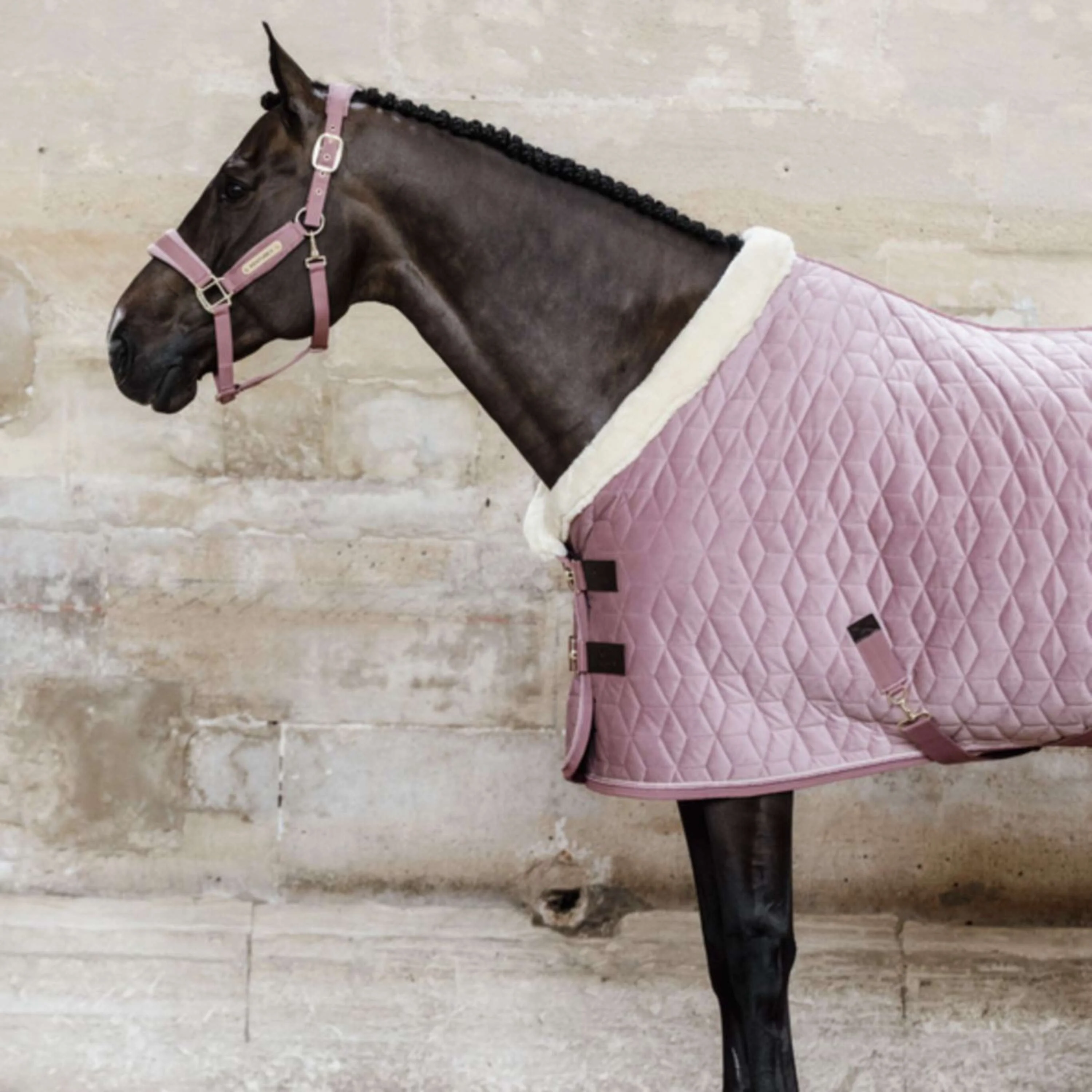 Kentucky Couverture de Concours velours 160g Rose Vieux