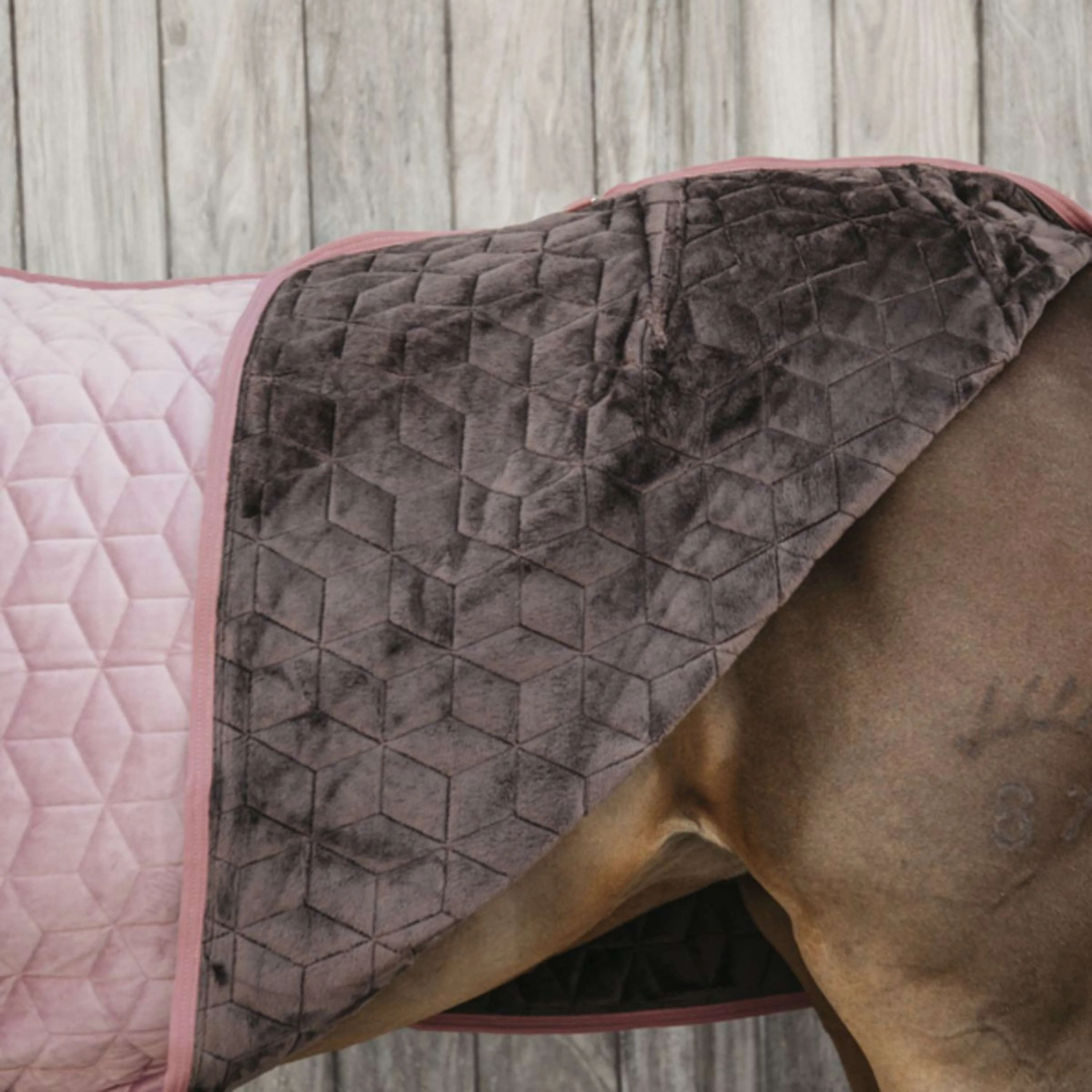 Kentucky Couverture de Concours velours 160g Rose Vieux - Image 4