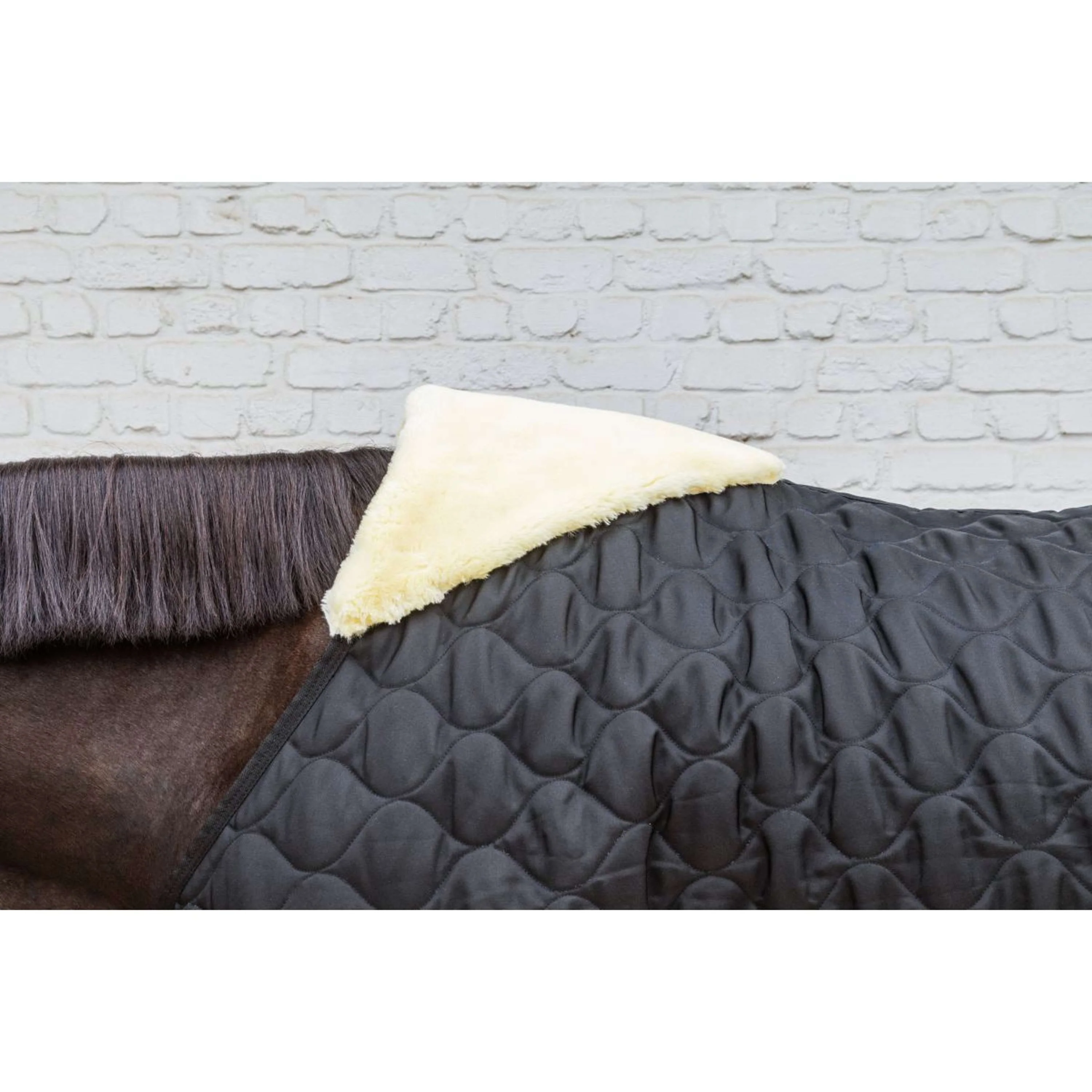 Kentucky Couverture d'Écurie Comfort 200g Noir - Image 5