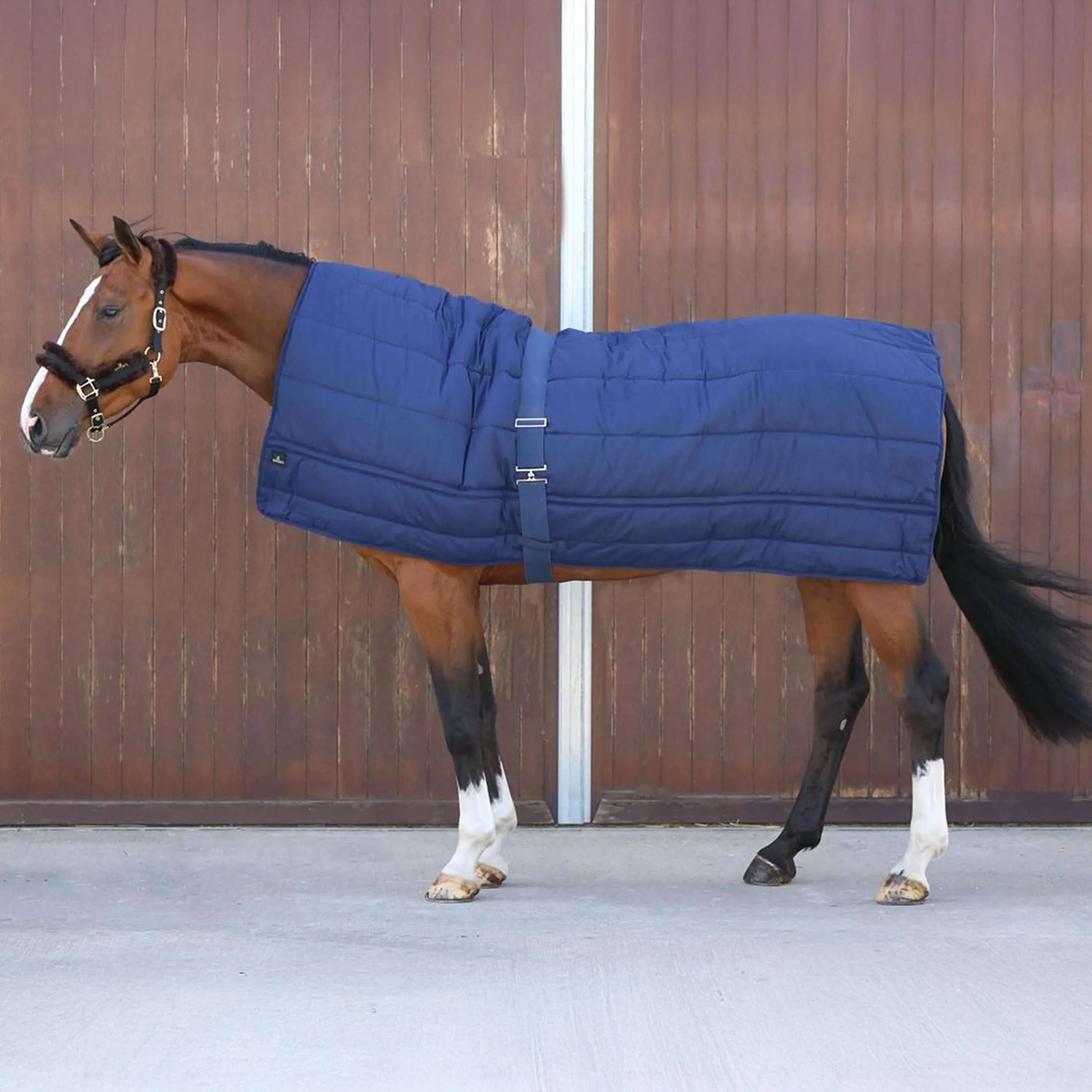 Kentucky Couverture Horse Duvet 300g Marin