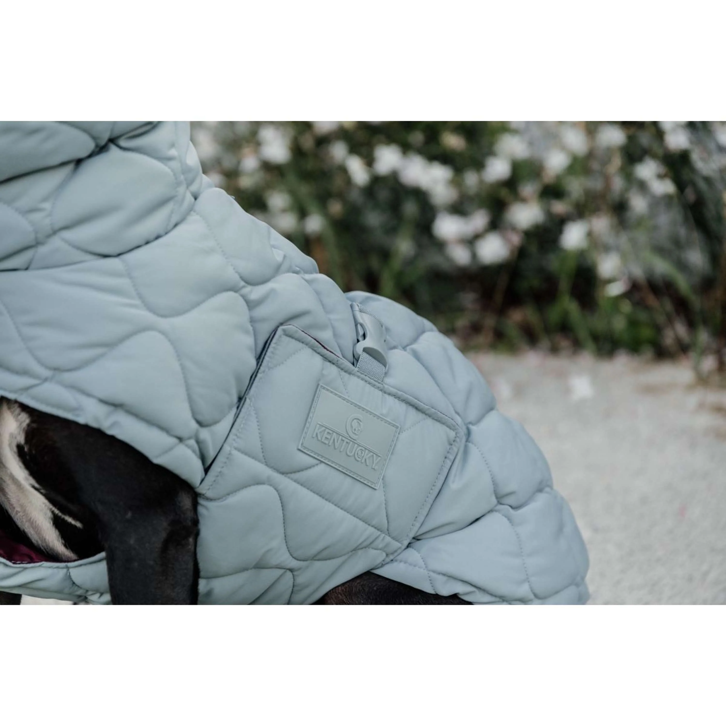 Kentucky Couverture pour Chien Winter Pina 160g Dusty Blue - Image 9