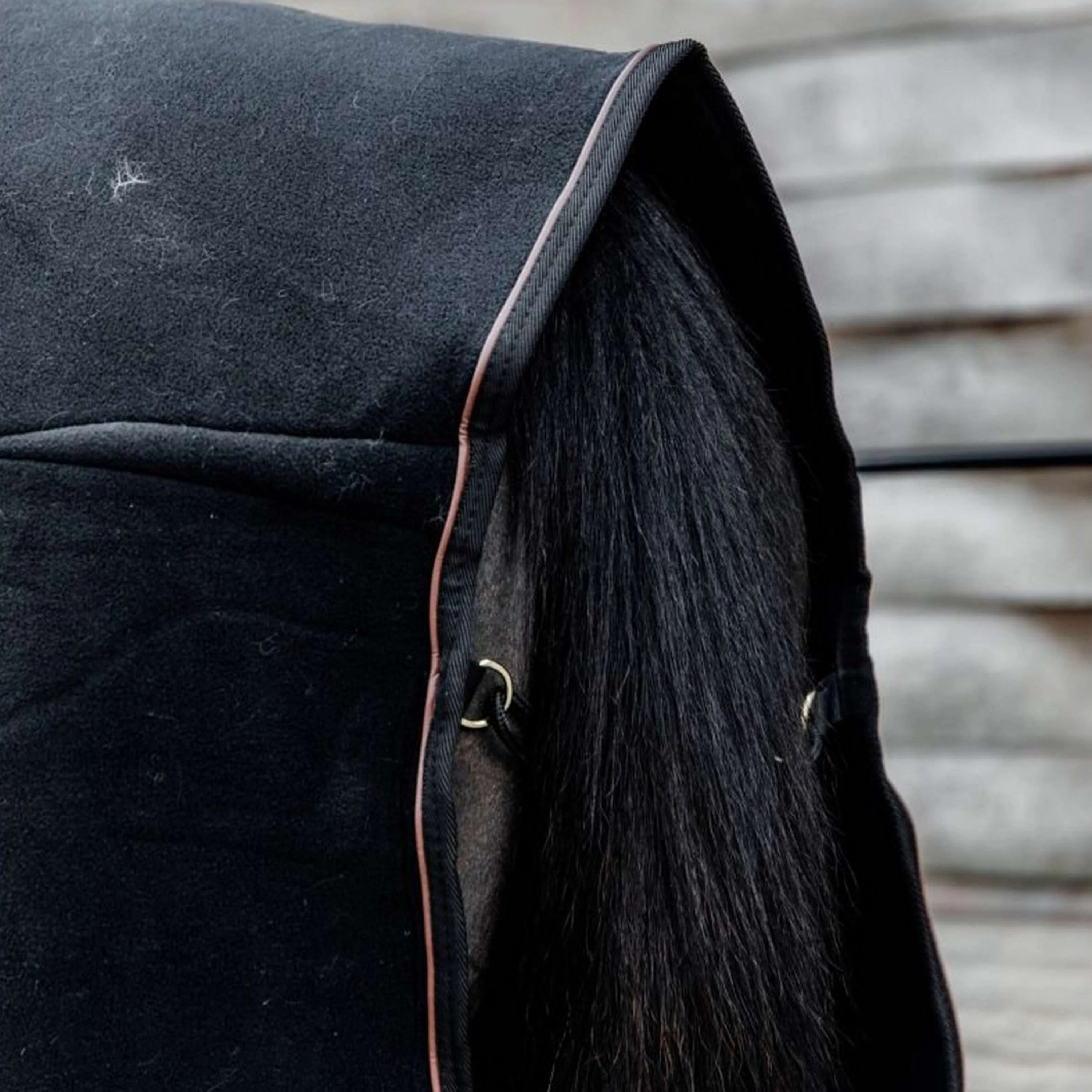 Kentucky Couvertures Anti-Transpiration Show Fleece Heavy Noir - Image 5