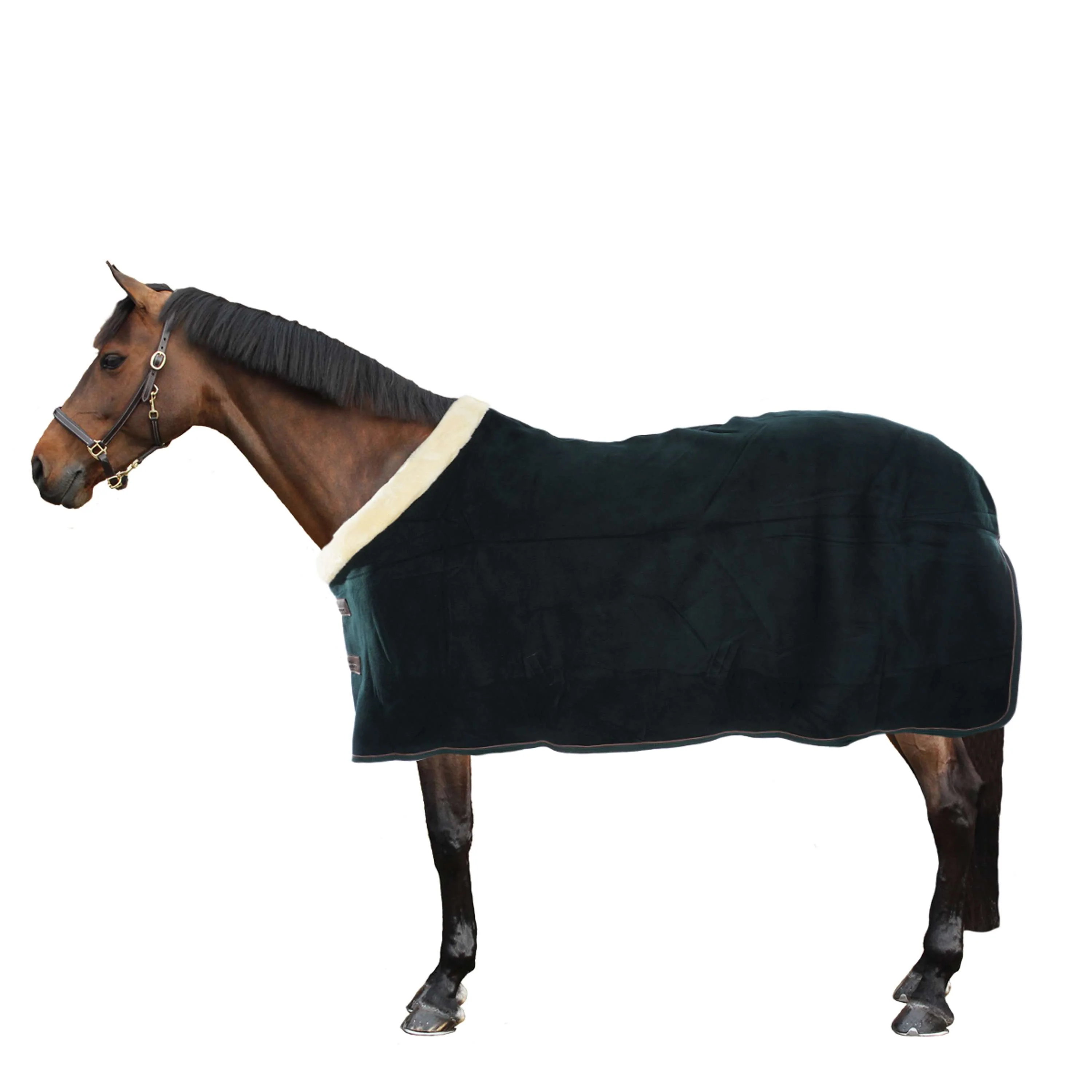 Kentucky Couvertures Anti-Transpiration Show Fleece Heavy Vert - Image 4