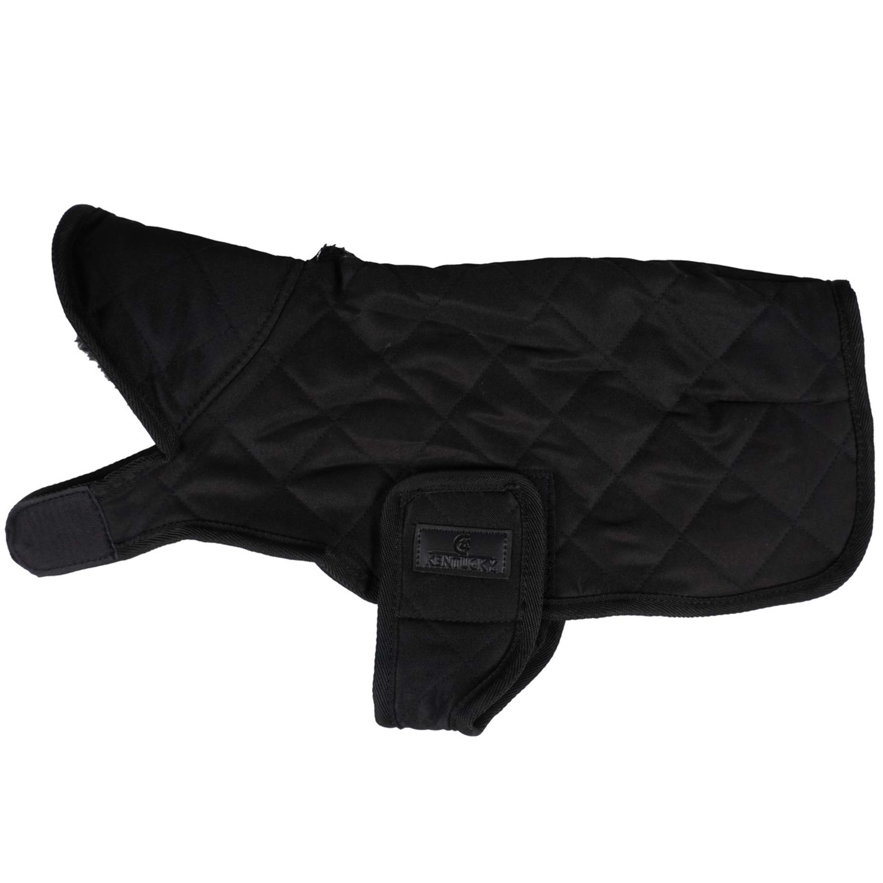 Kentucky Veste pour Chien Original Royal Noir - Image 3