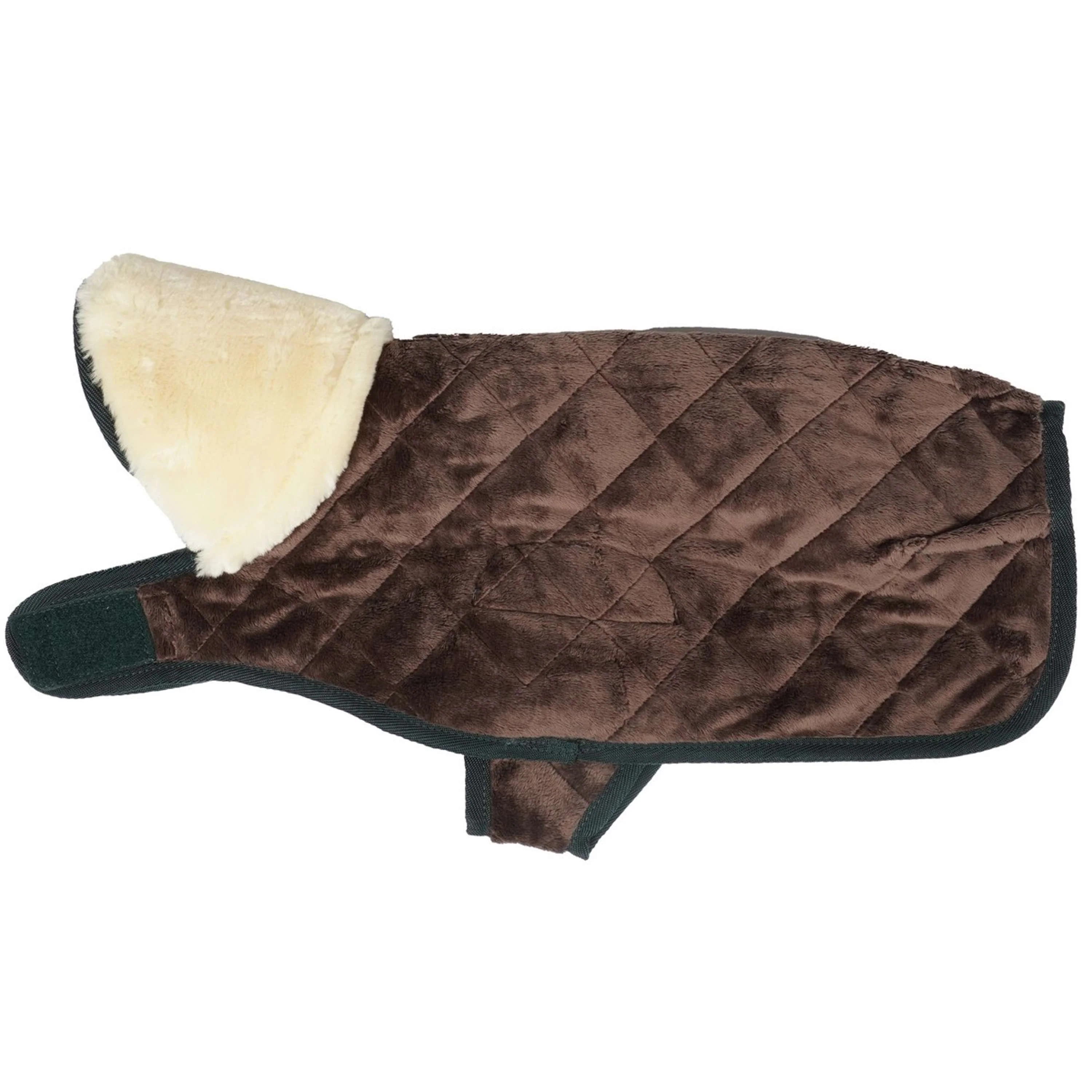 Kentucky Veste pour Chien Original Royal Vert Foncé - Image 5