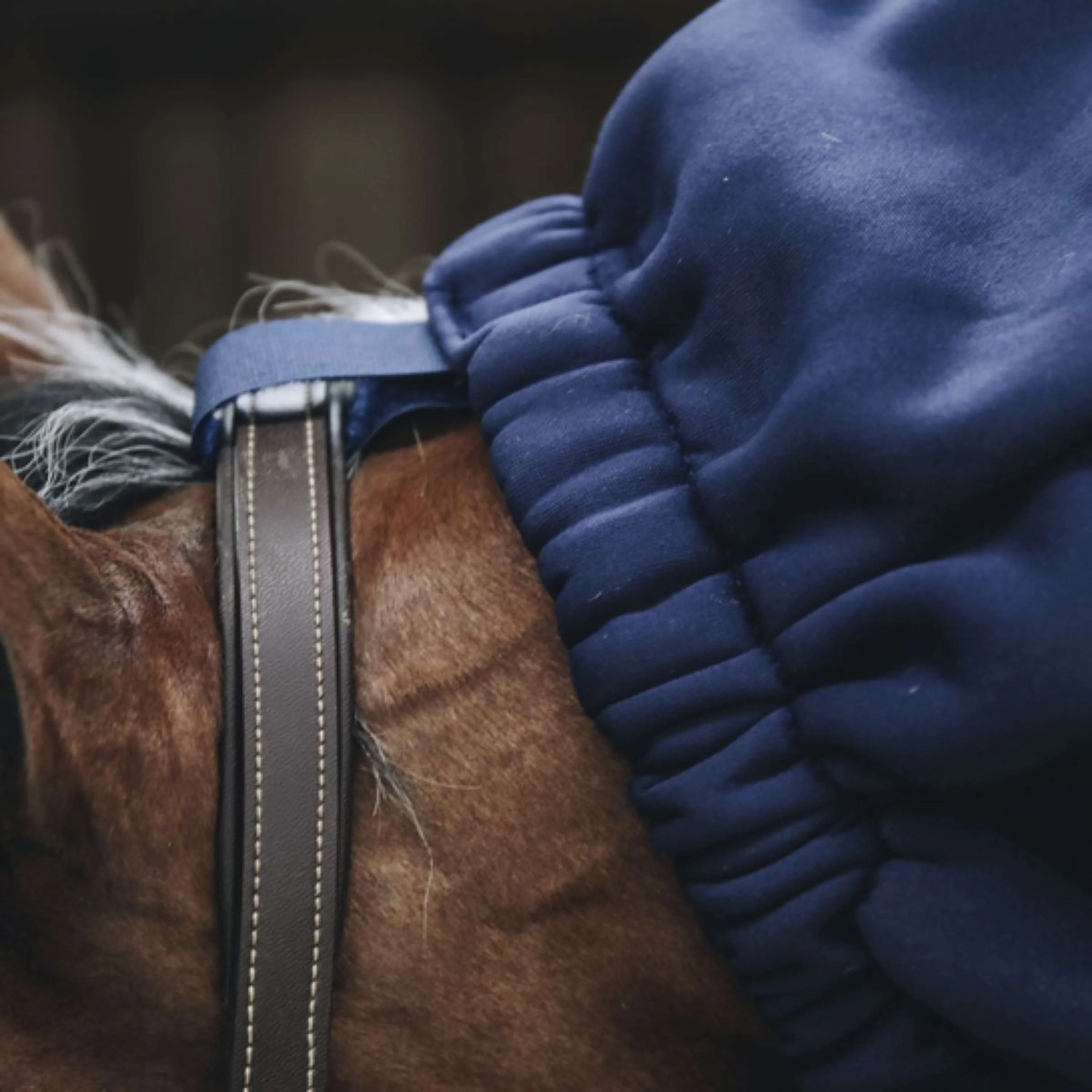 Kentucky Horse Scarf Cooler Fleece Marin - Image 4