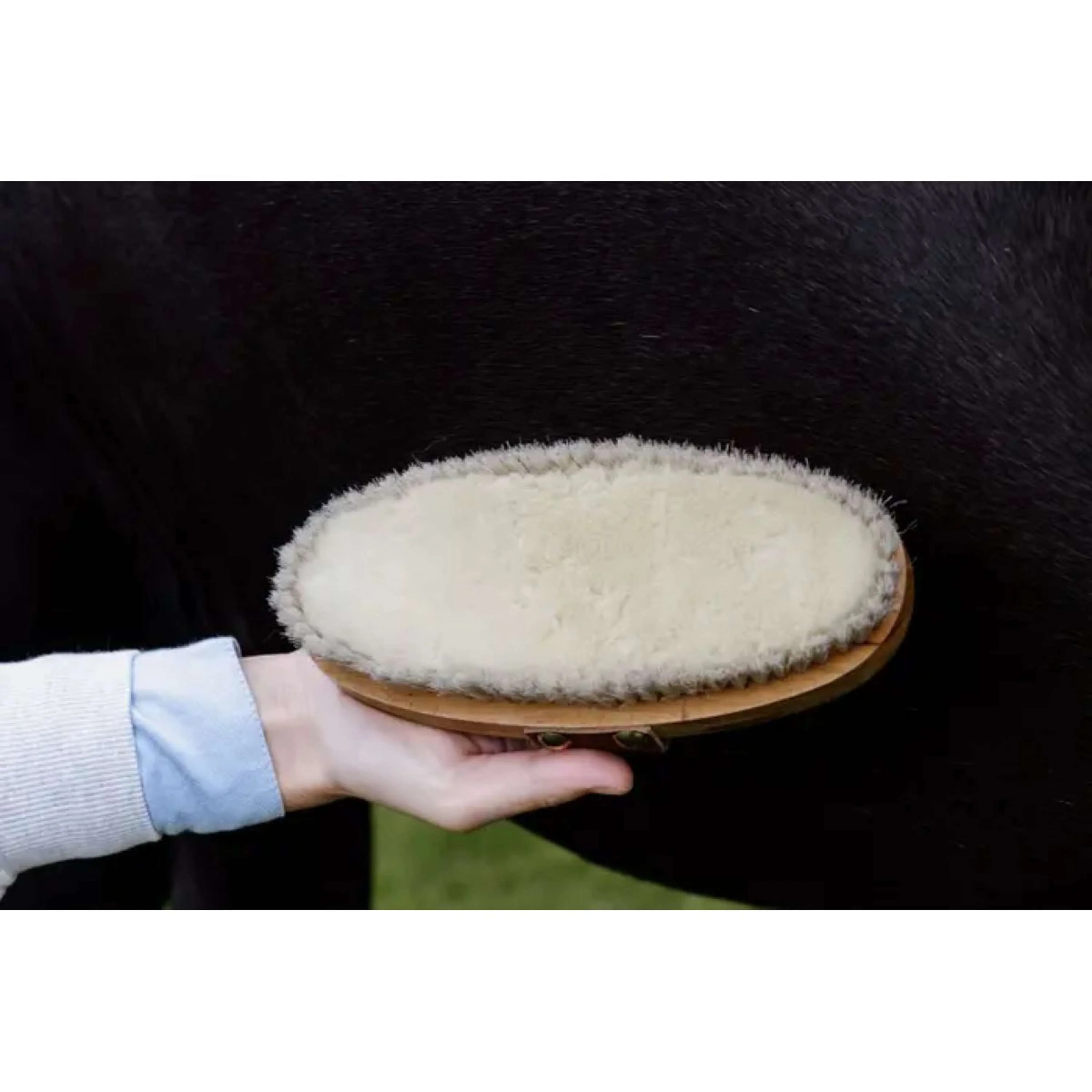 Kentucky Horsewear Brosse Soft Shine - Image 4