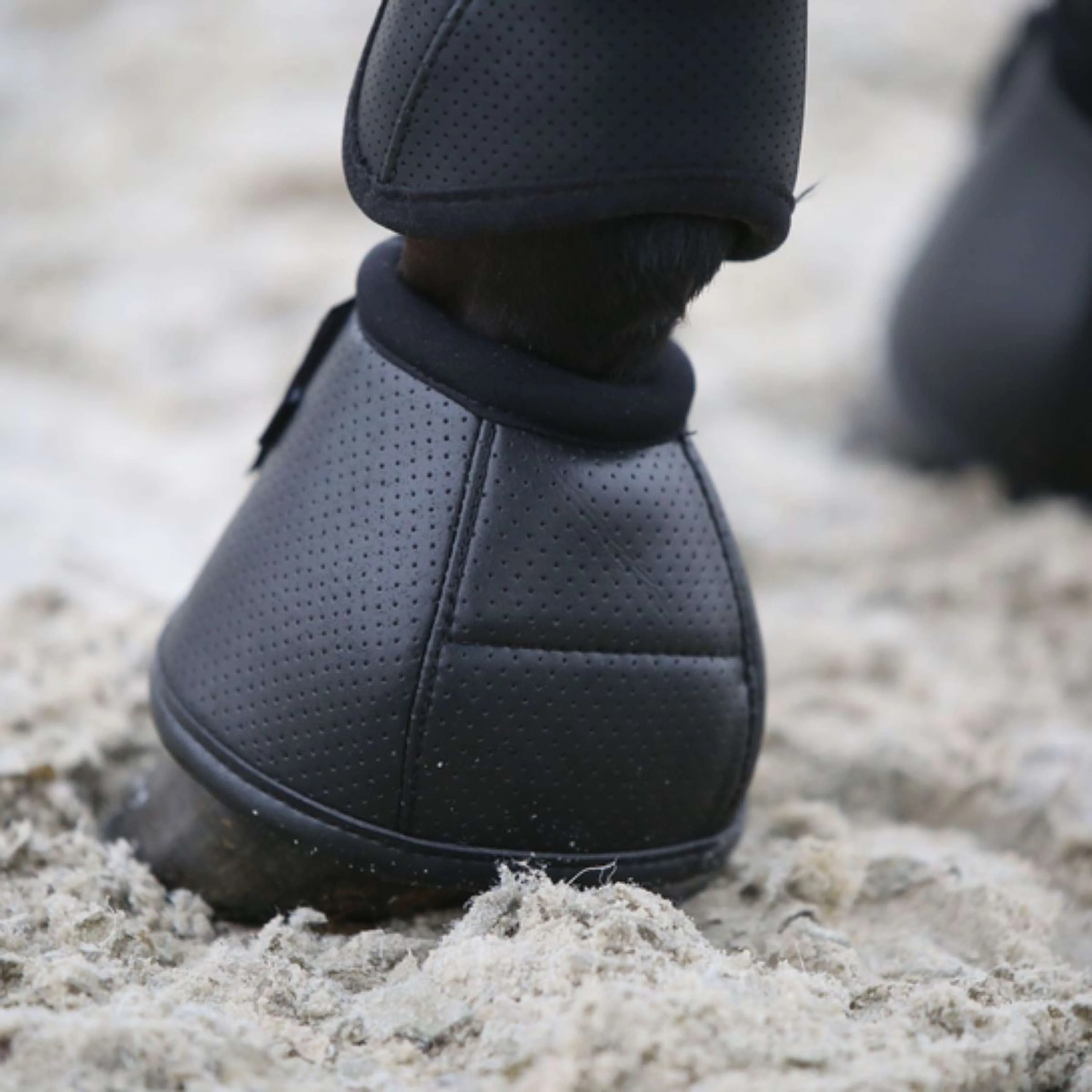 Kentucky Horsewear Cloches d'Obstacles Air Tech Noir - Image 2