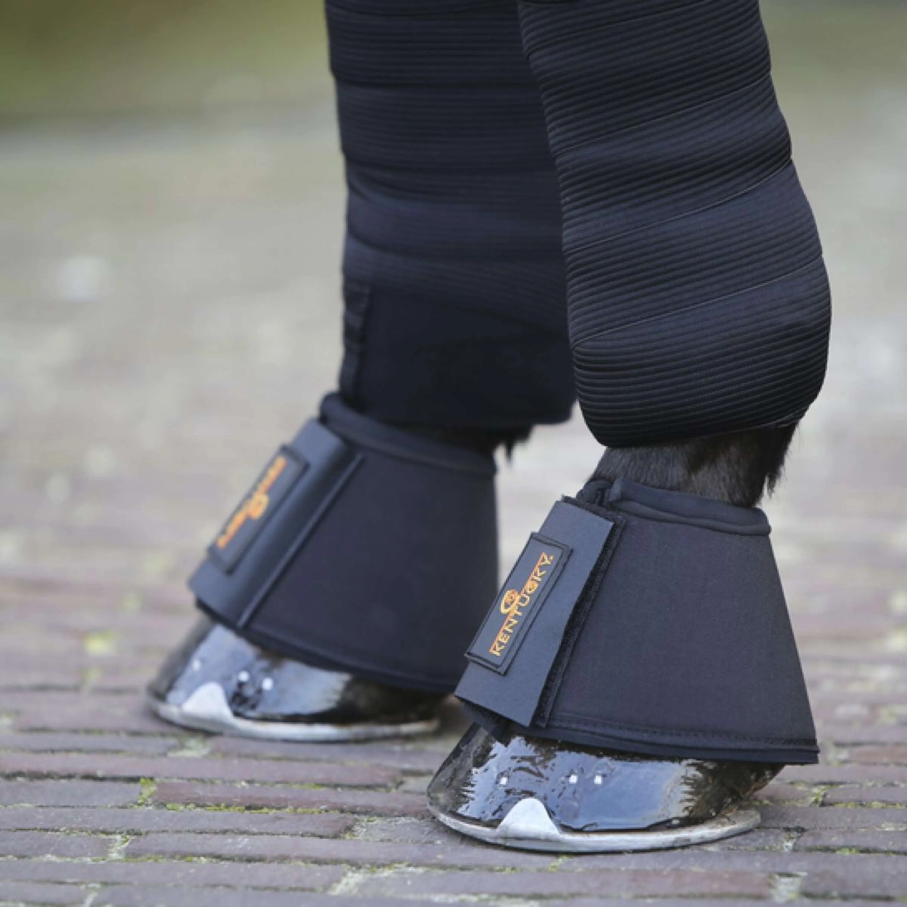 Kentucky Horsewear Cloches d'Obstacles Noir - Image 2