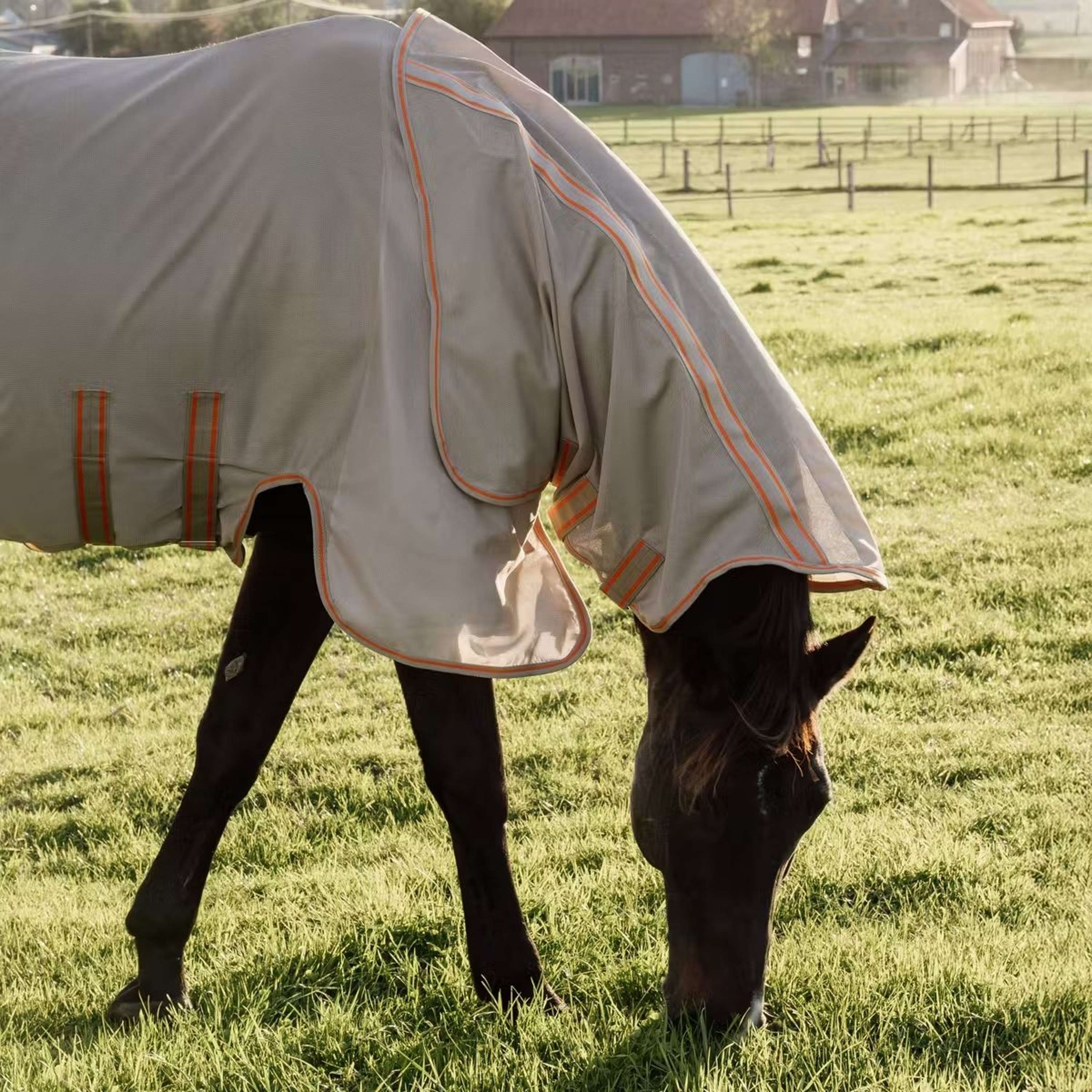 Kentucky Horsewear Couverture Anti-Mouches Comfort Mesh Beige/Orange - Image 3