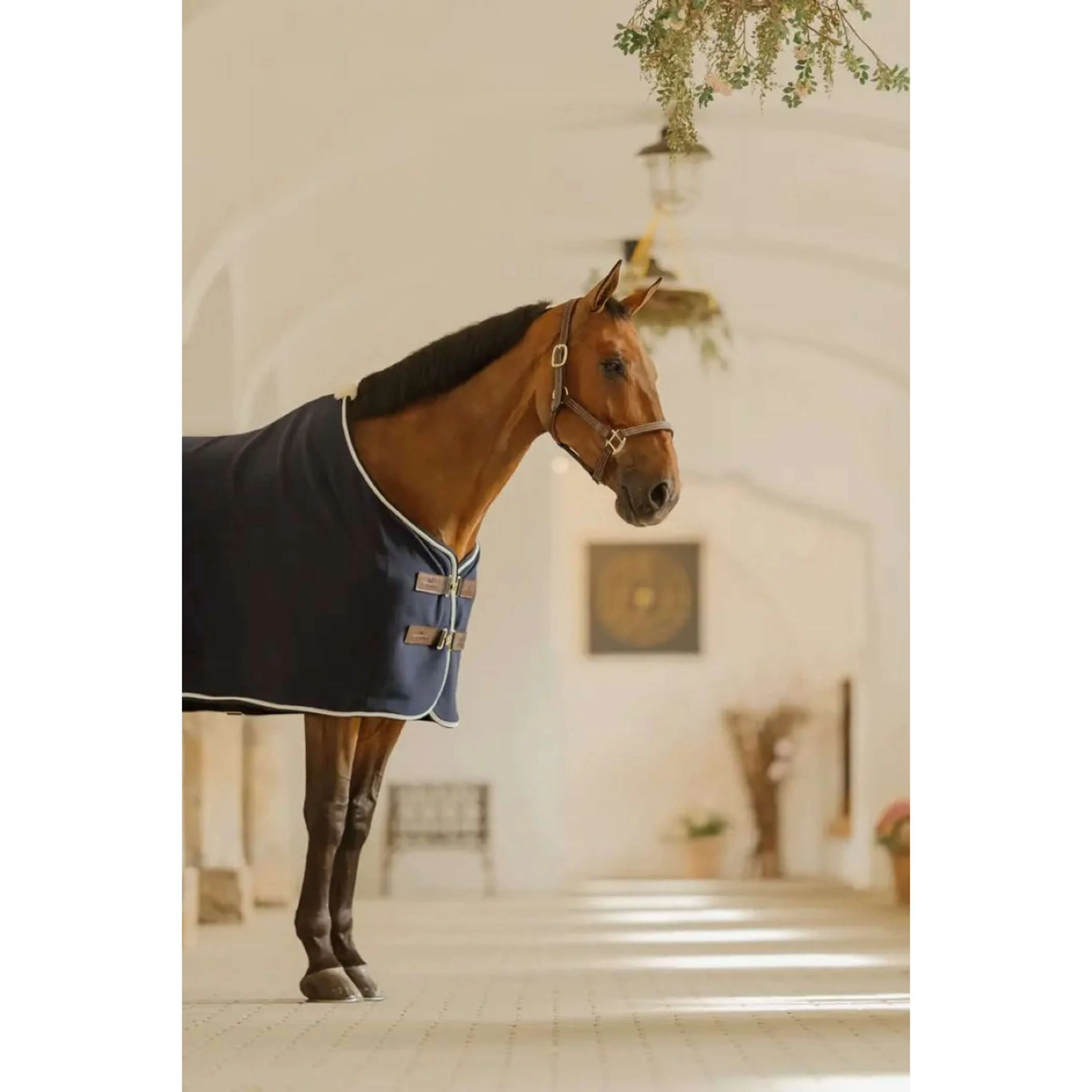 Kentucky Horsewear Couverture Polaire Show Vegan Wool Marin - Image 3