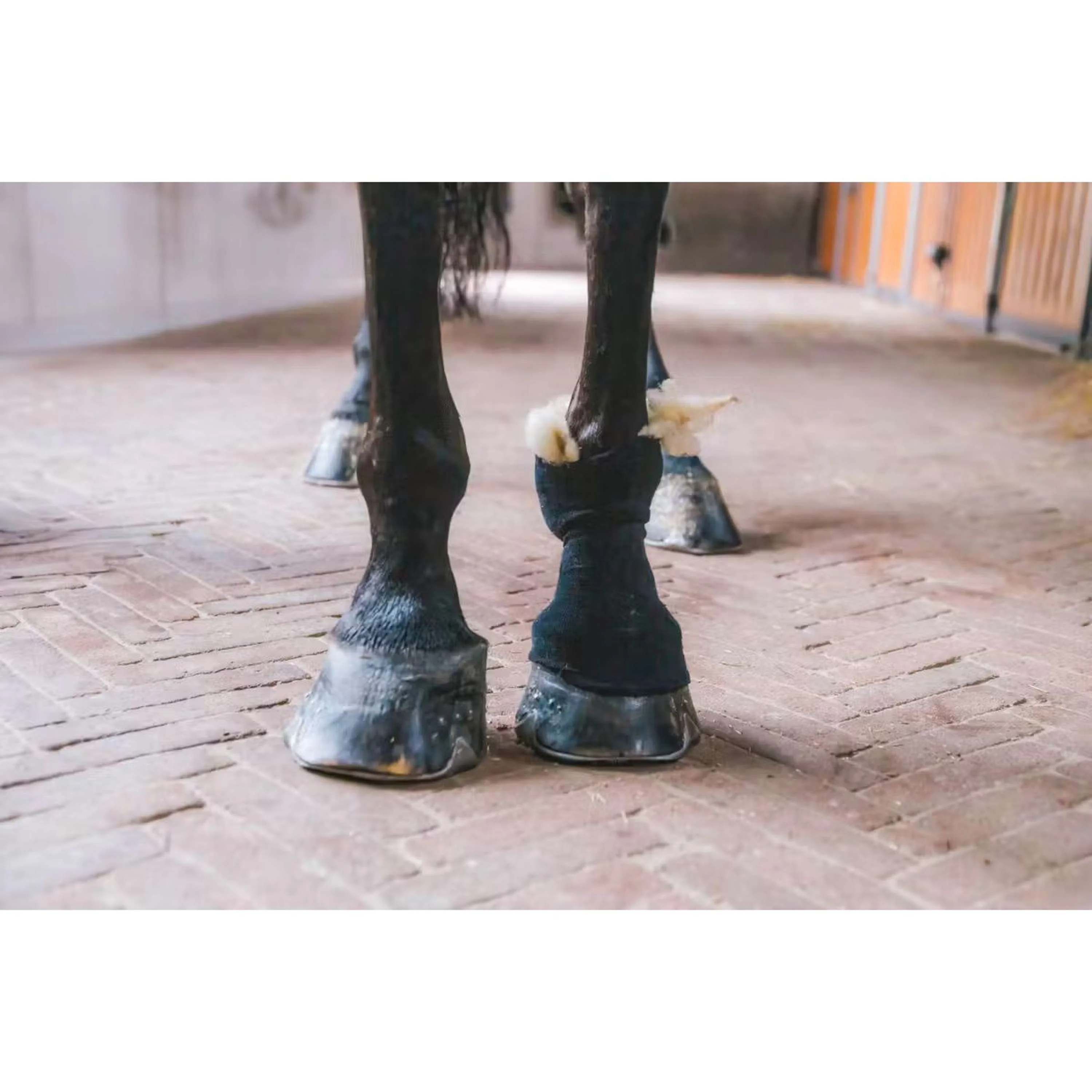 Kentucky Horsewear Laine thérapeutique Blanc - Image 3
