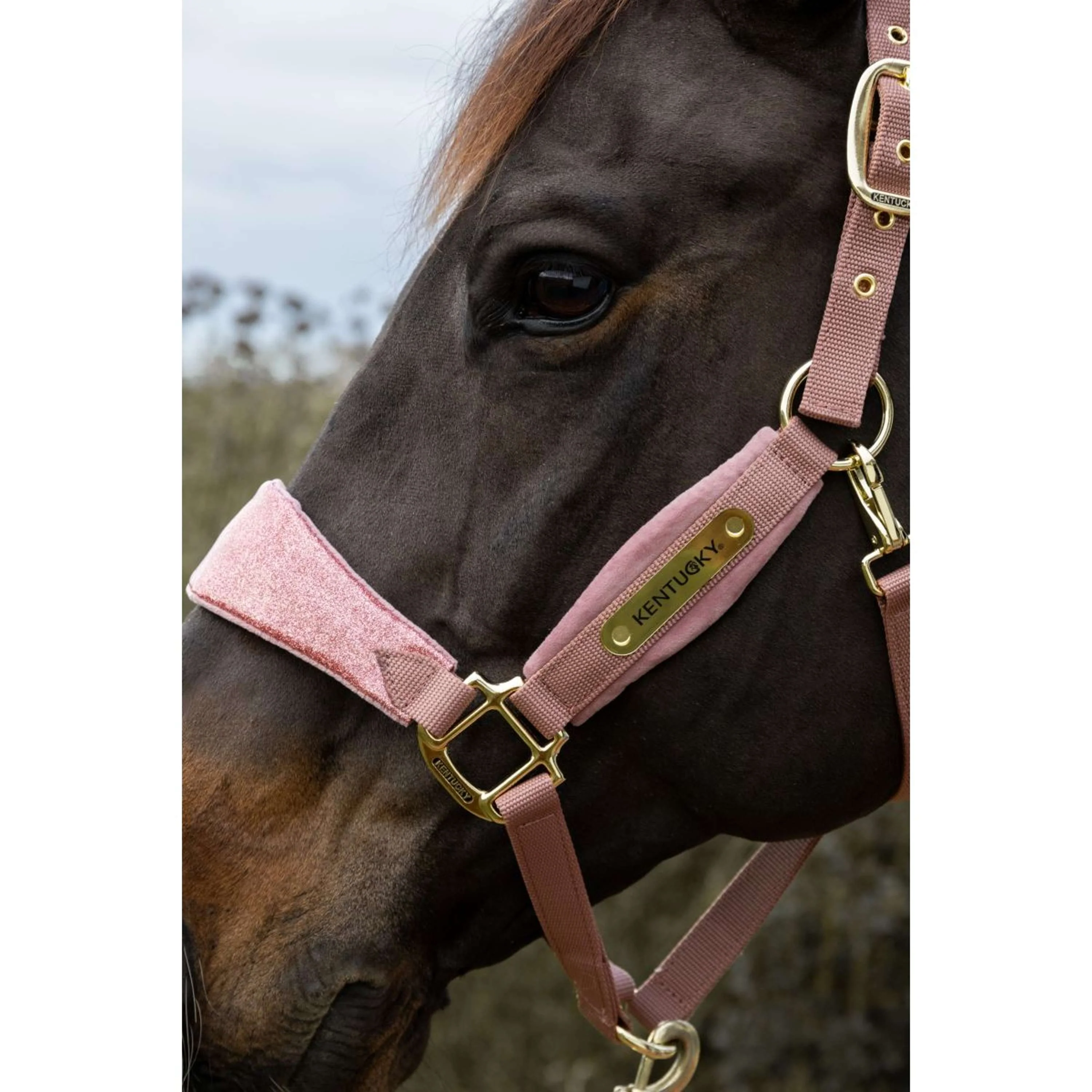 Kentucky Horsewear Licol Velvet Glitter Unicorn Rose Vieux - Image 5