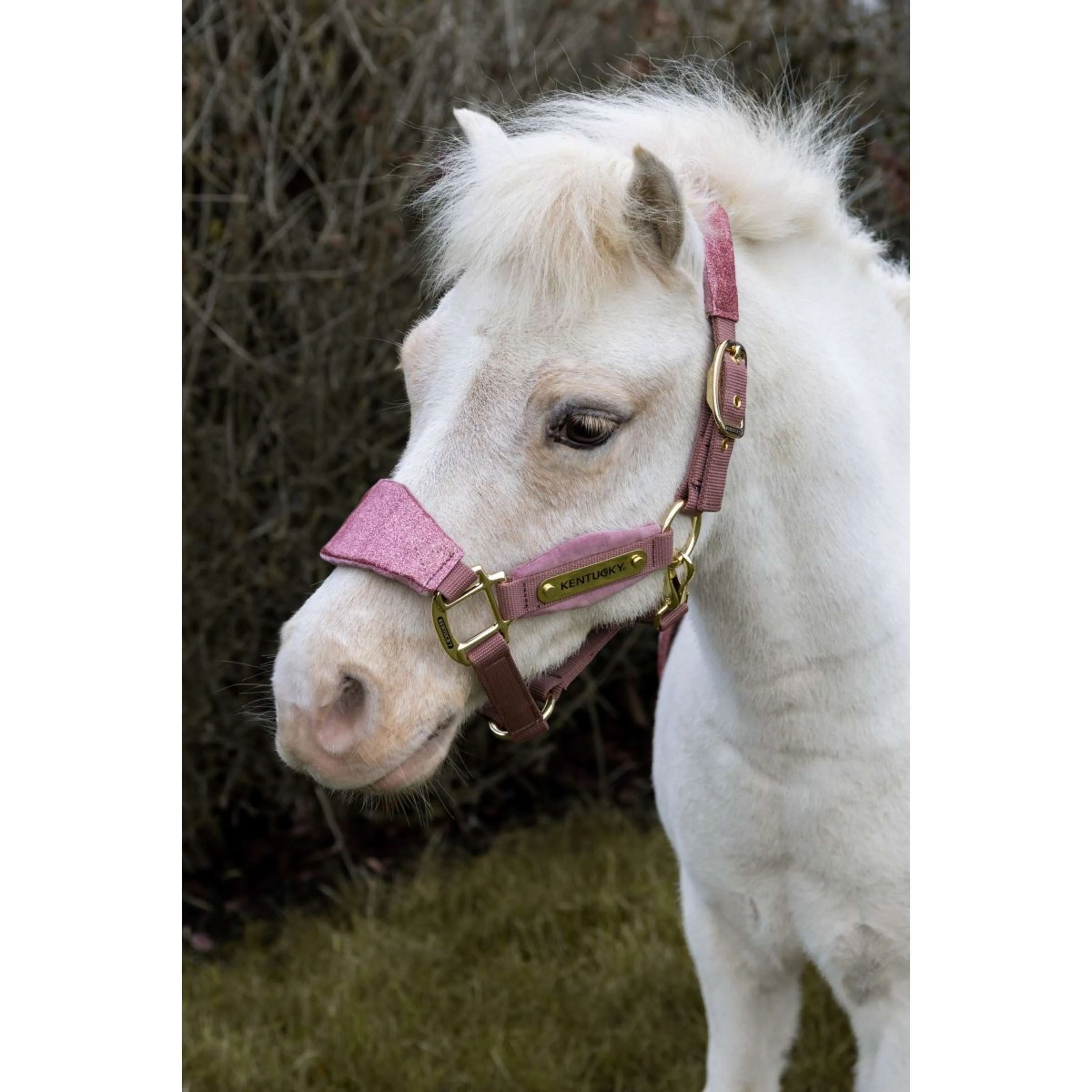 Kentucky Horsewear Licol Velvet Glitter Unicorn Rose Vieux - Image 8