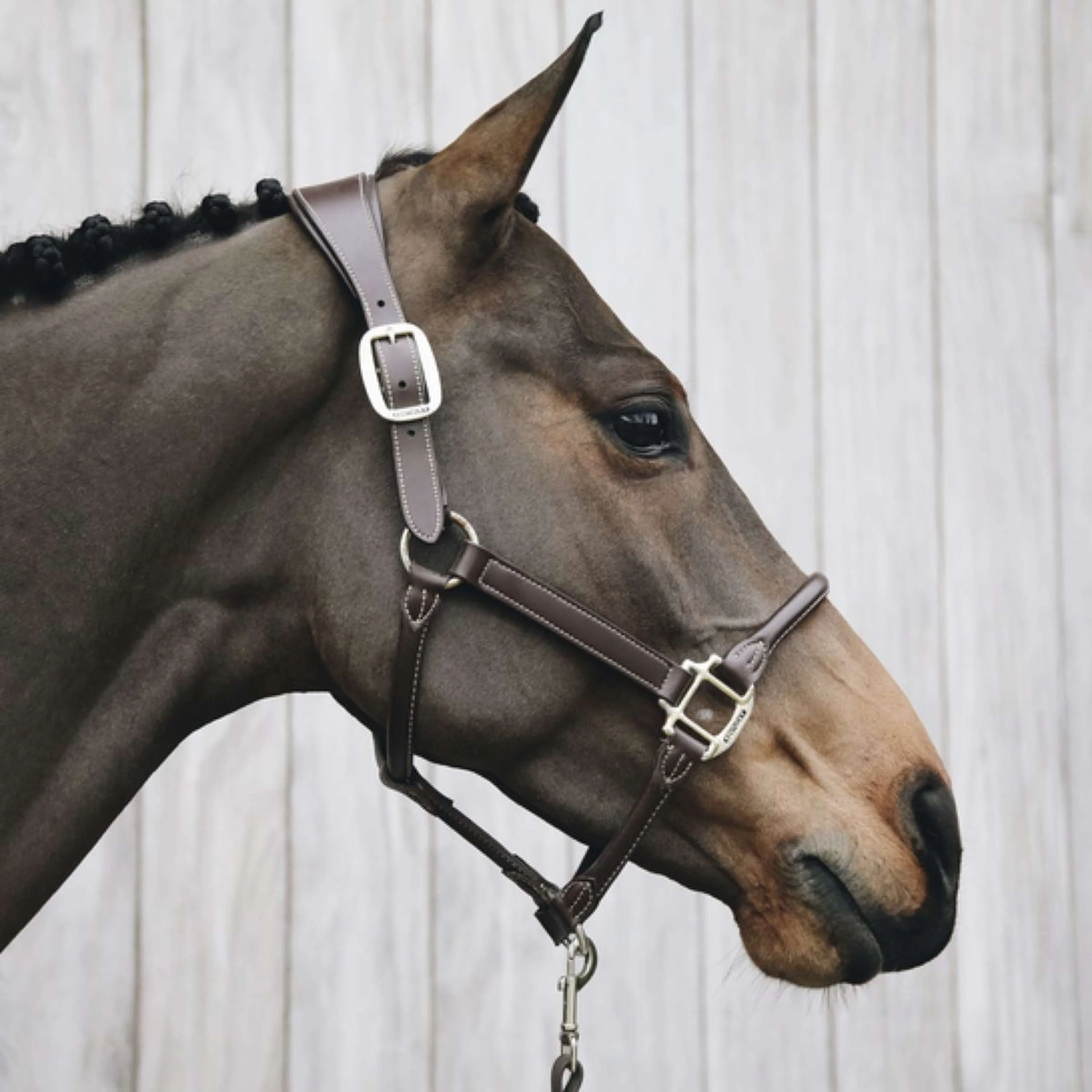 Kentucky Licou Bride Marron - Image 2
