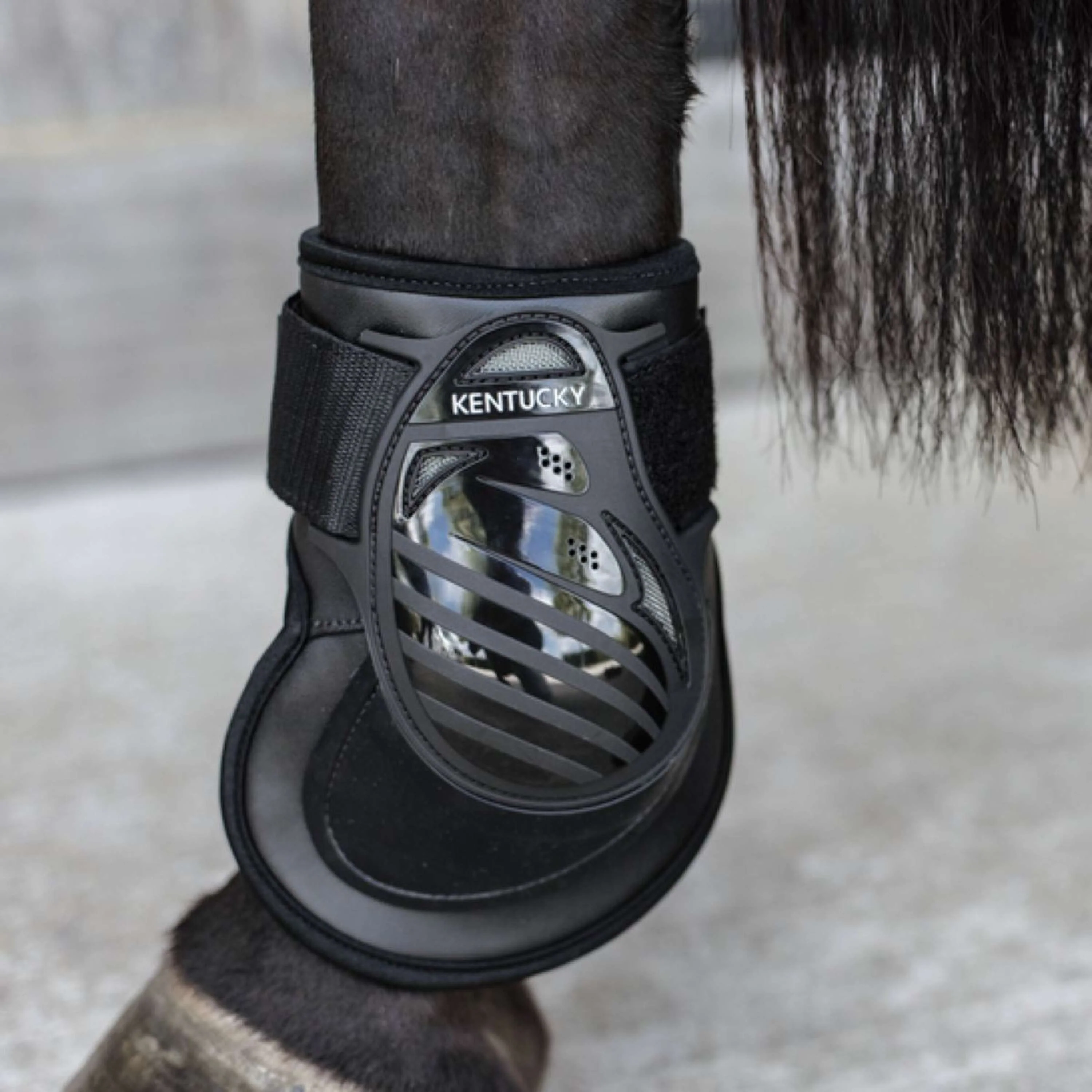 Kentucky Horsewear Protège-Boulets Deep Noir - Image 2
