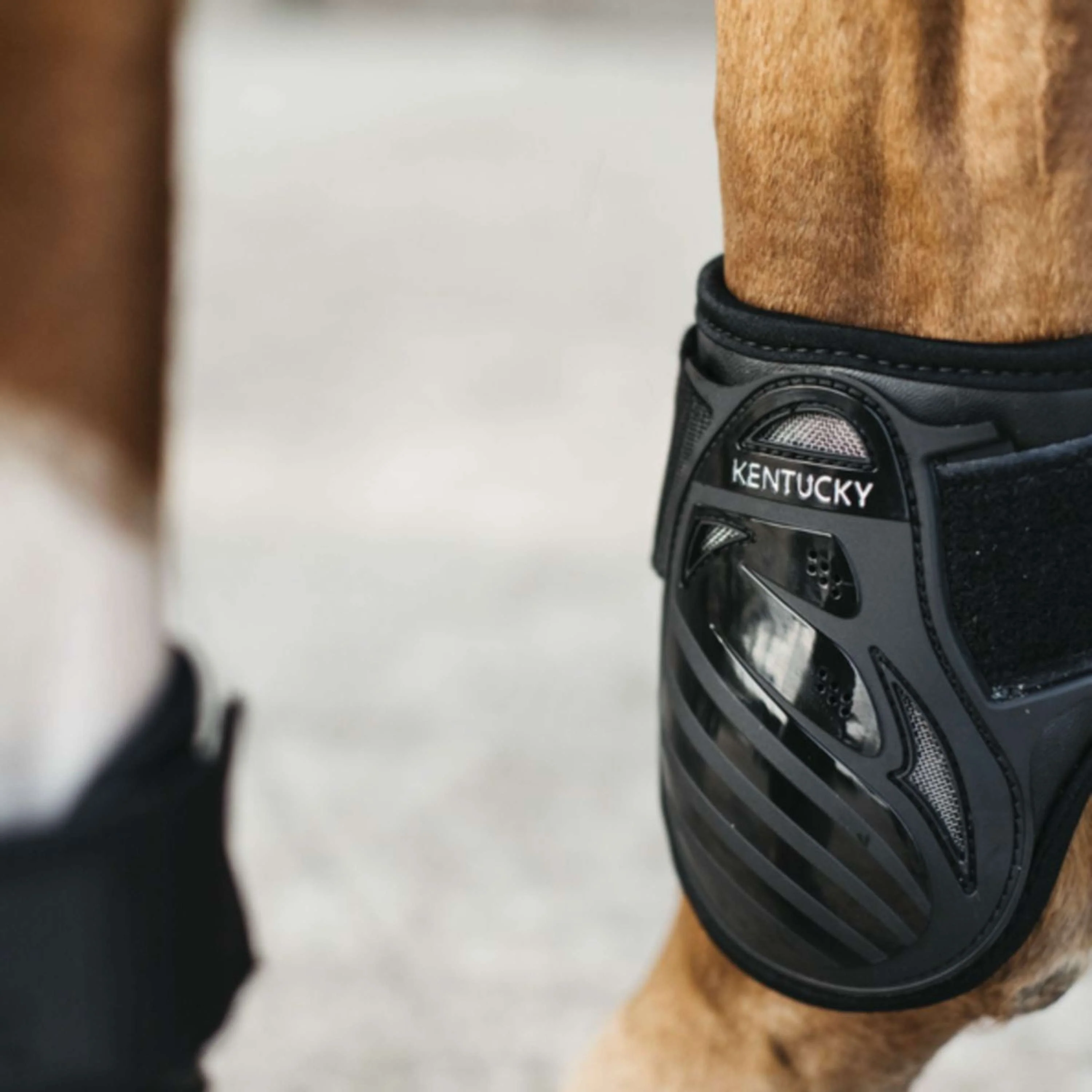 Kentucky Horsewear Protège-Boulets Young Horse Noir - Image 6