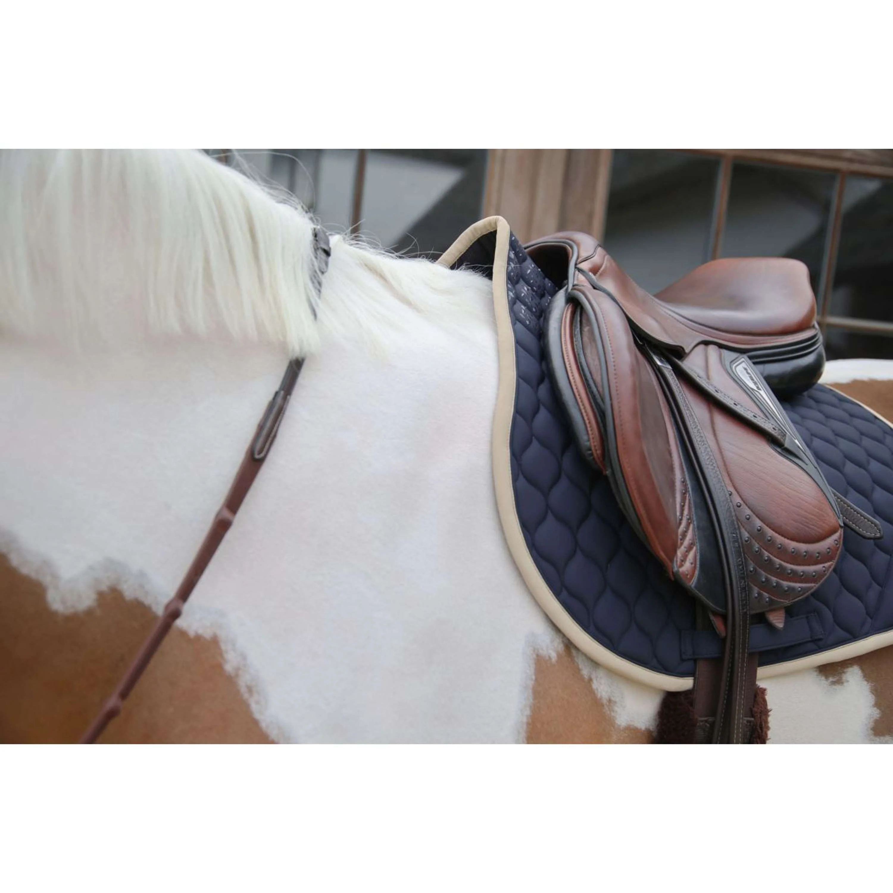 Kentucky Horsewear Tapis de Selle Softshell Onion Quilt de Saut Marin/Beige - Image 6