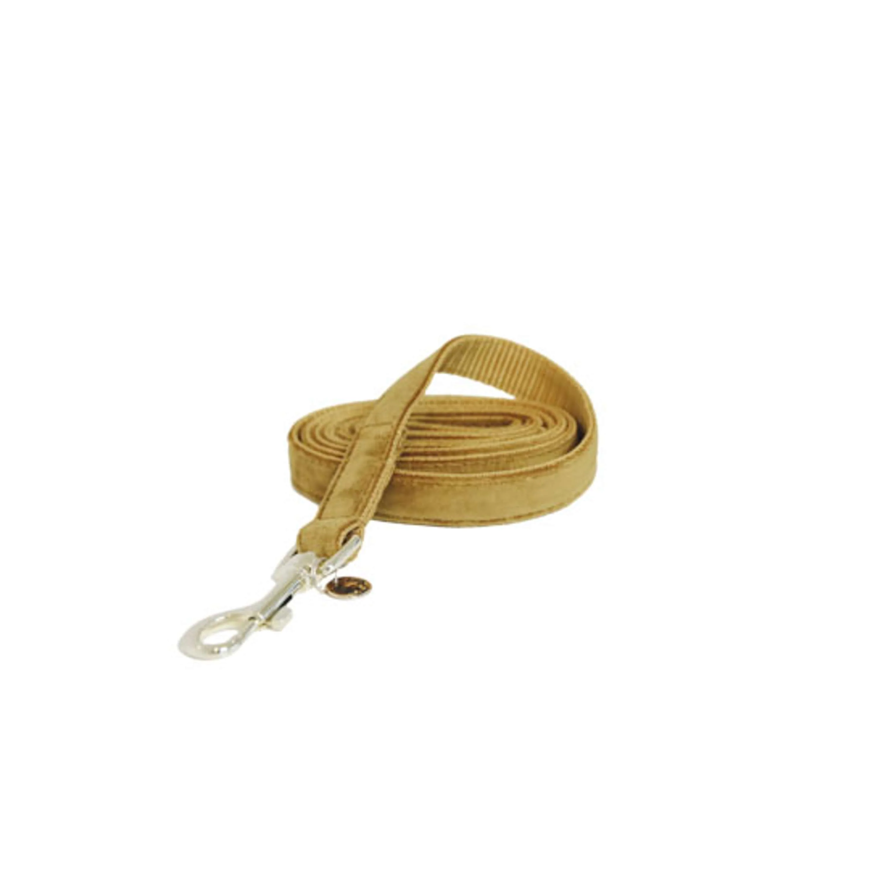 Kentucky Laisse pour Chien velours Moutarde - Image 4