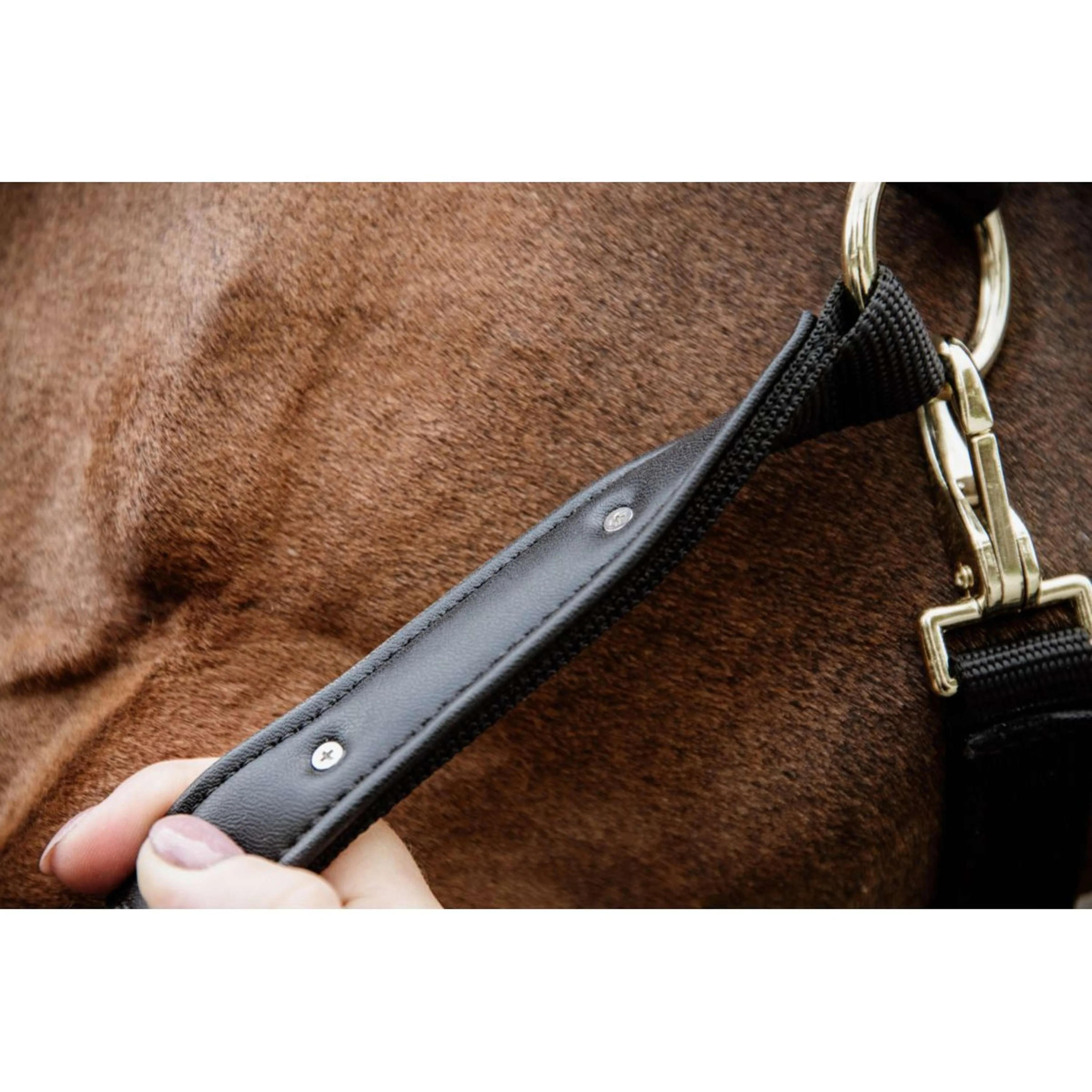 Kentucky Licol Anatomic Nylon Marin - Image 5