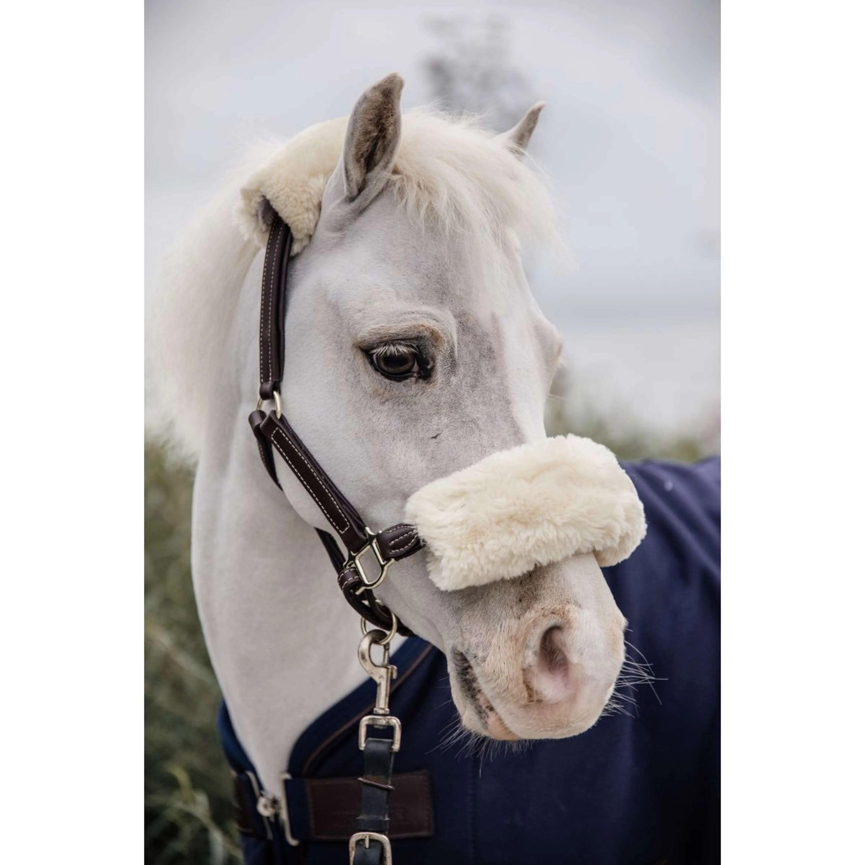 Kentucky Licol en Cuir Leather Sheepskin - Image 4