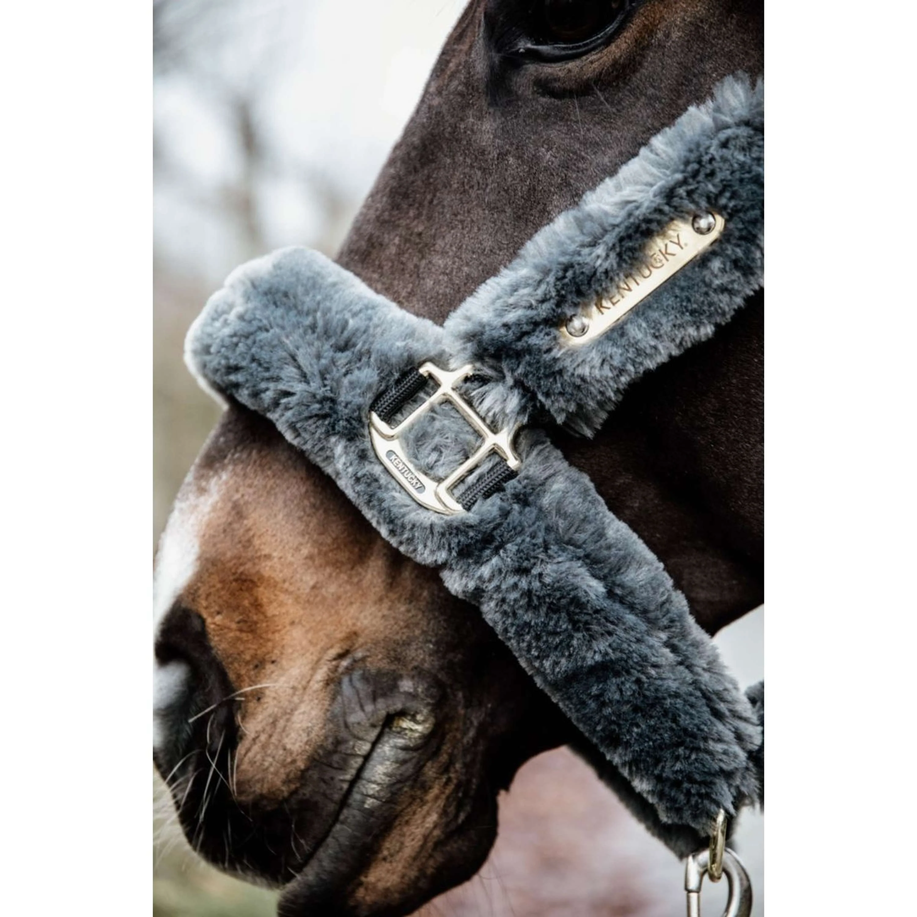 Kentucky Licol Sheepskin Gris - Image 6