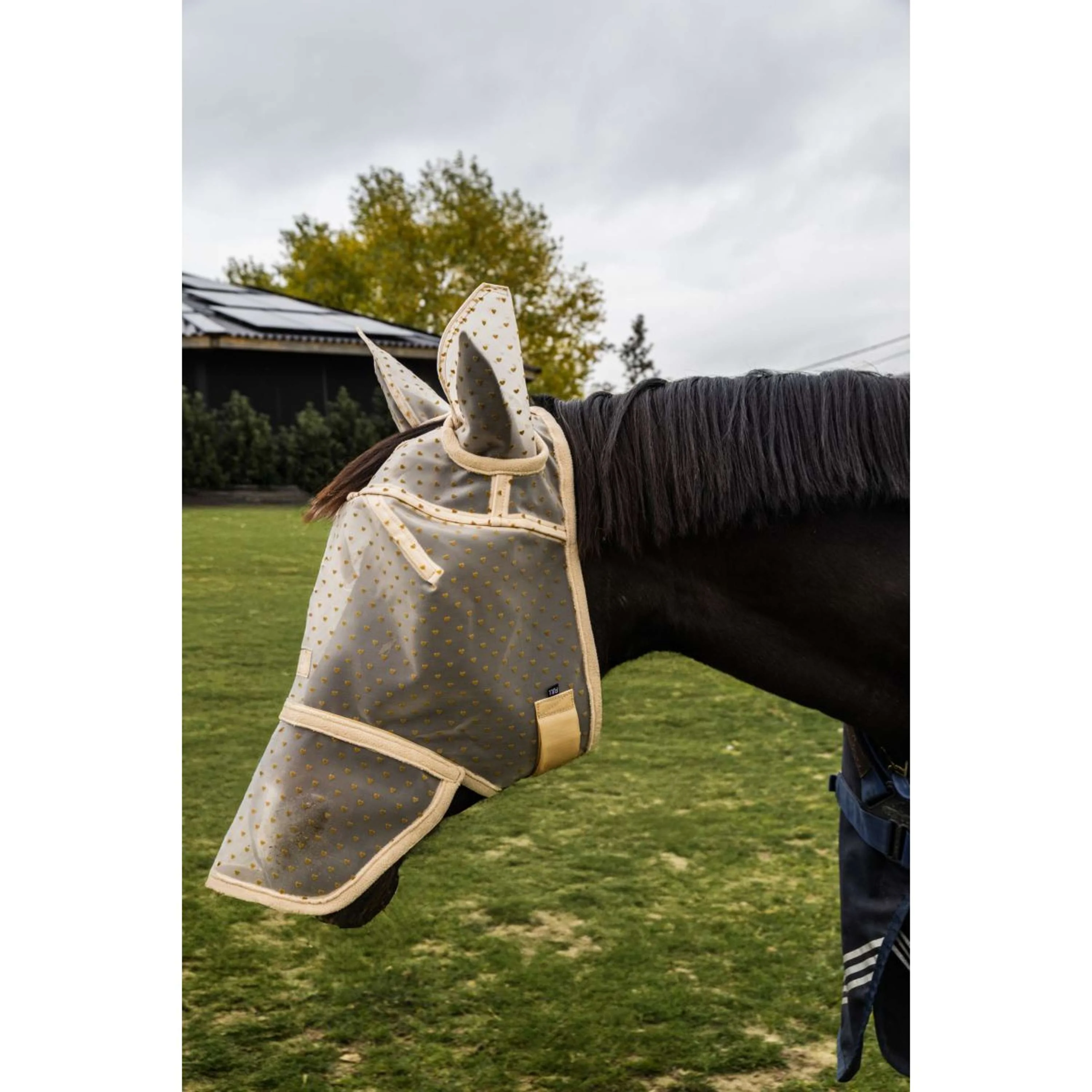 Kentucky Masque Anti-Mouches Heart avec Oreilles et Nez Beige - Image 8
