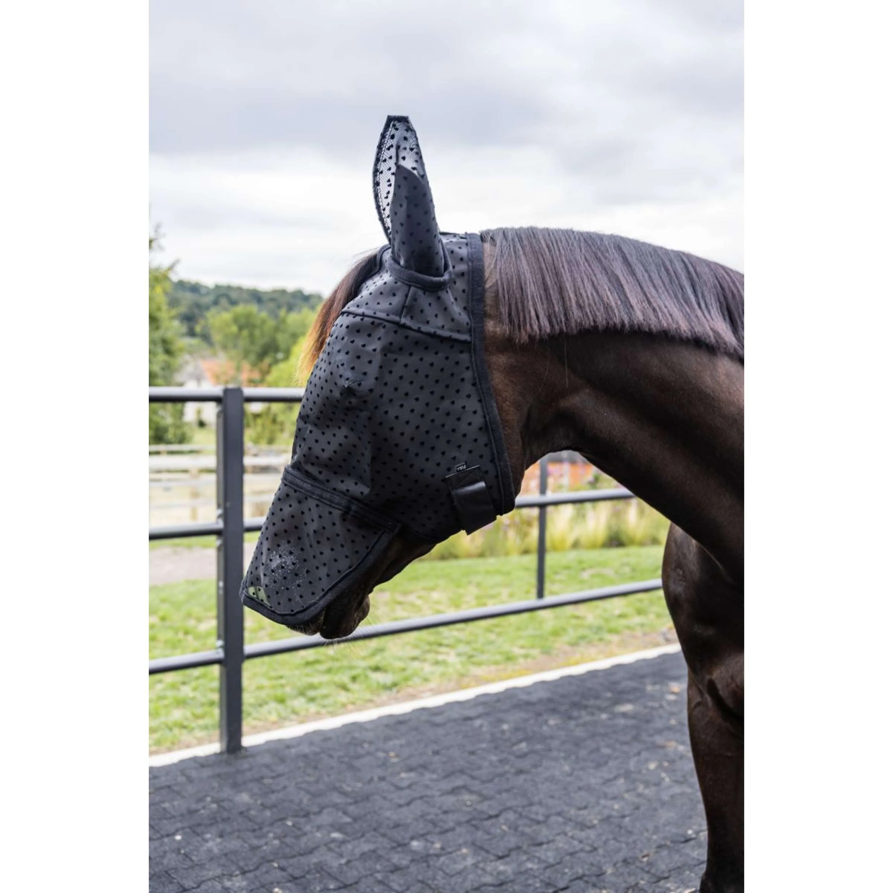 Kentucky Masque Anti-Mouches Heart avec Oreilles et Nez Noir - Image 5