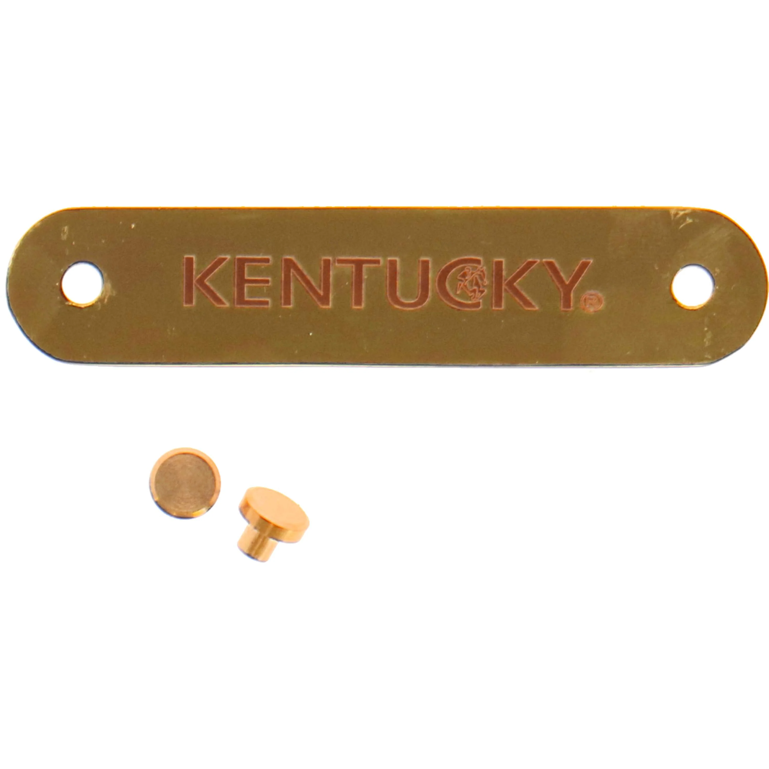 Kentucky Plaque de Nom pour Licol Or - Image 3