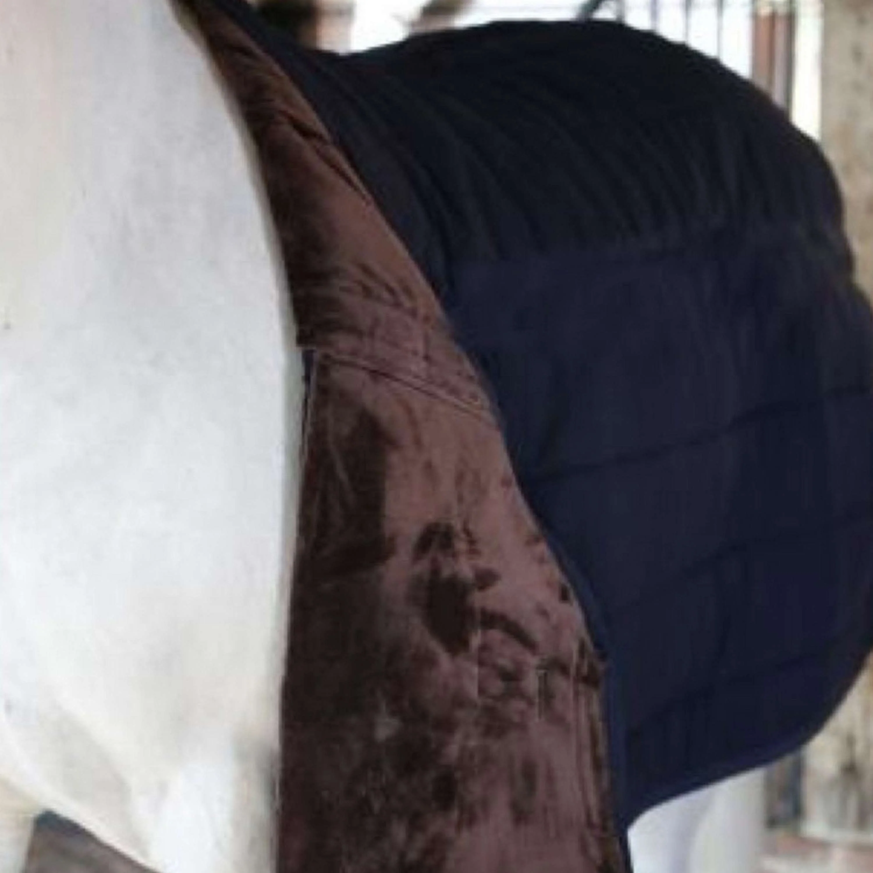 Kentucky Sous-Couverture Skin Friendly 300g Marin - Image 3