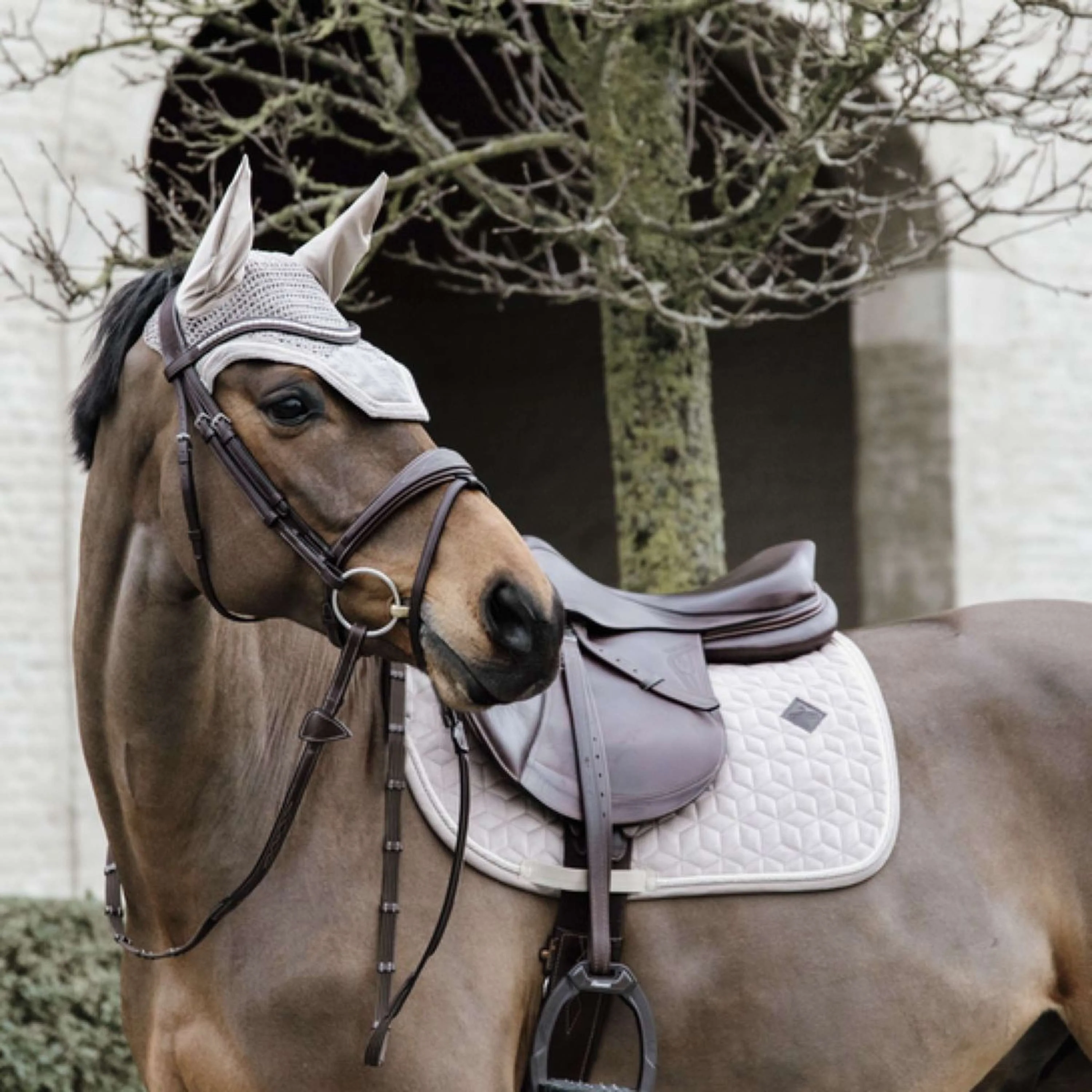 Kentucky Tapis de Selle Basic Velvet de Saut Beige - Image 5