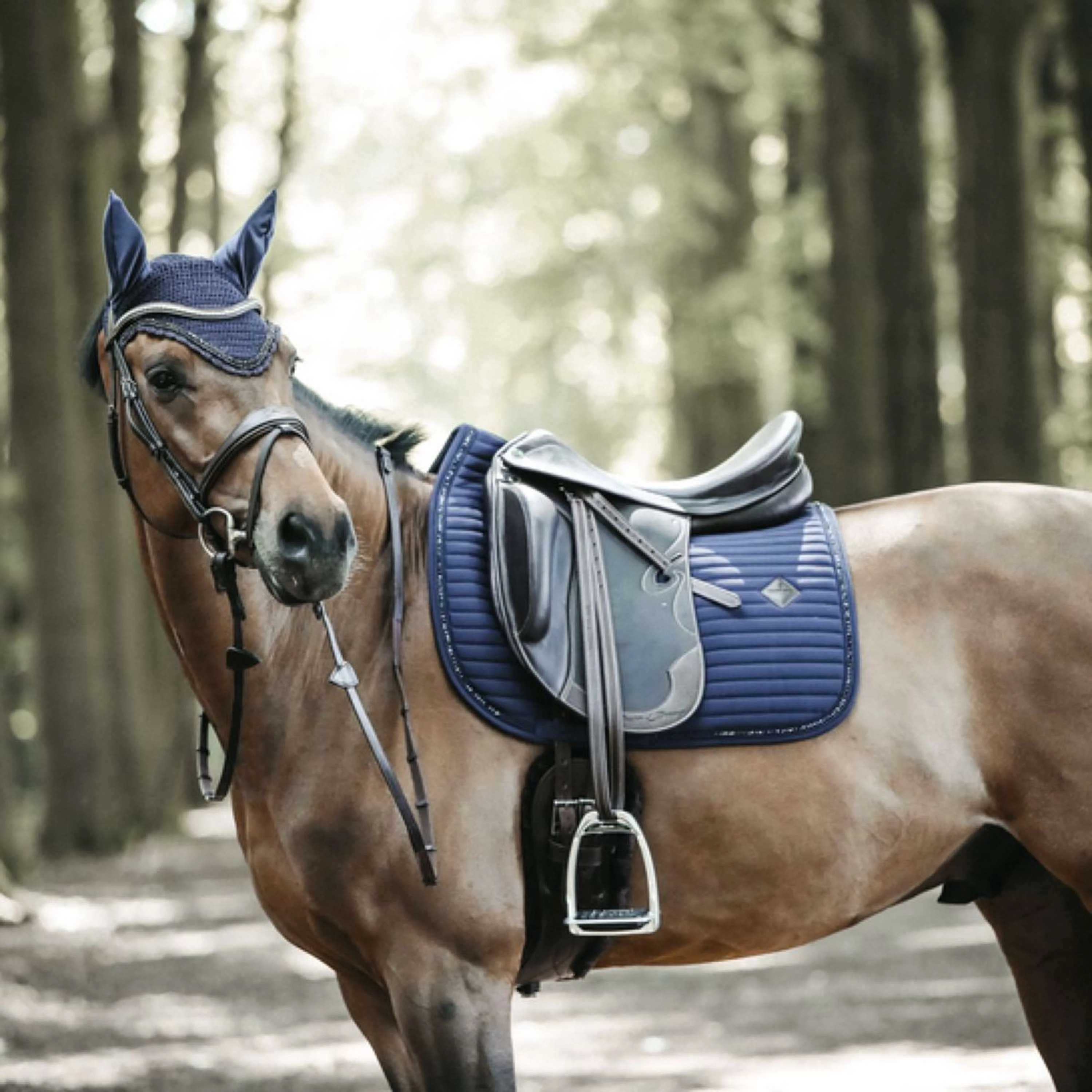 Kentucky Tapis de Selle de Dressage Pearls Marin - Image 5