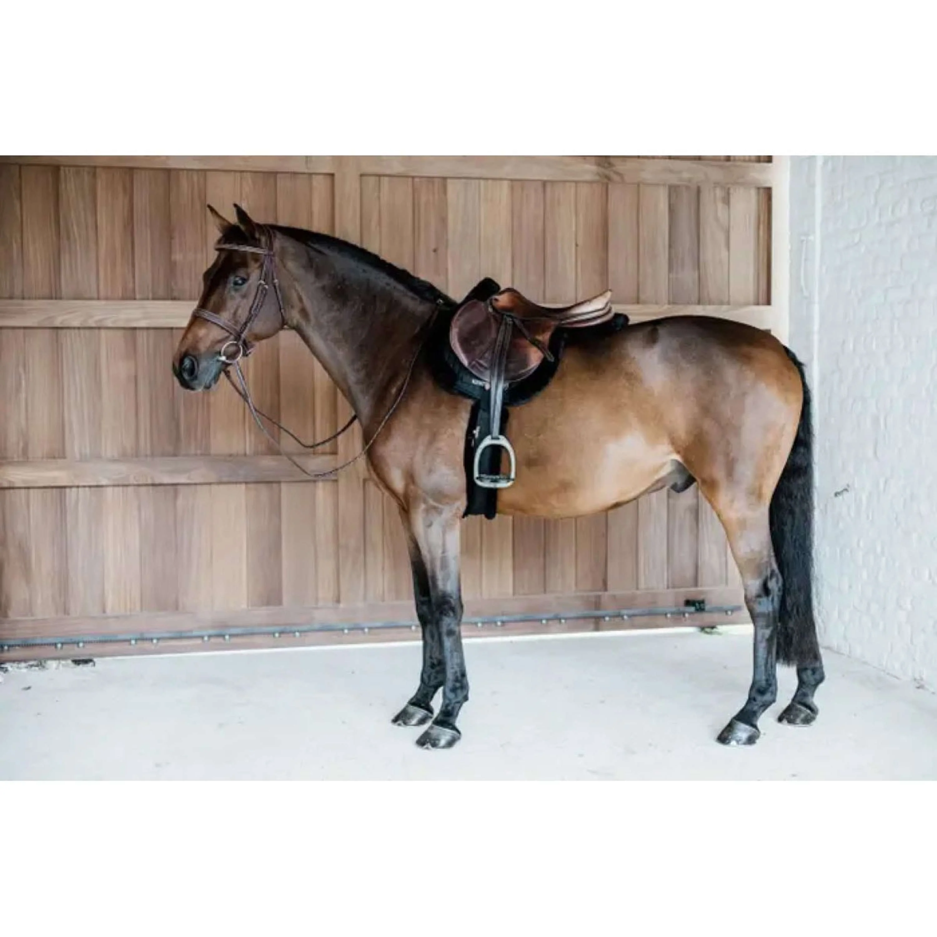 Kentucky Tapis de Selle de Saut Hunter Laine Noir - Image 5
