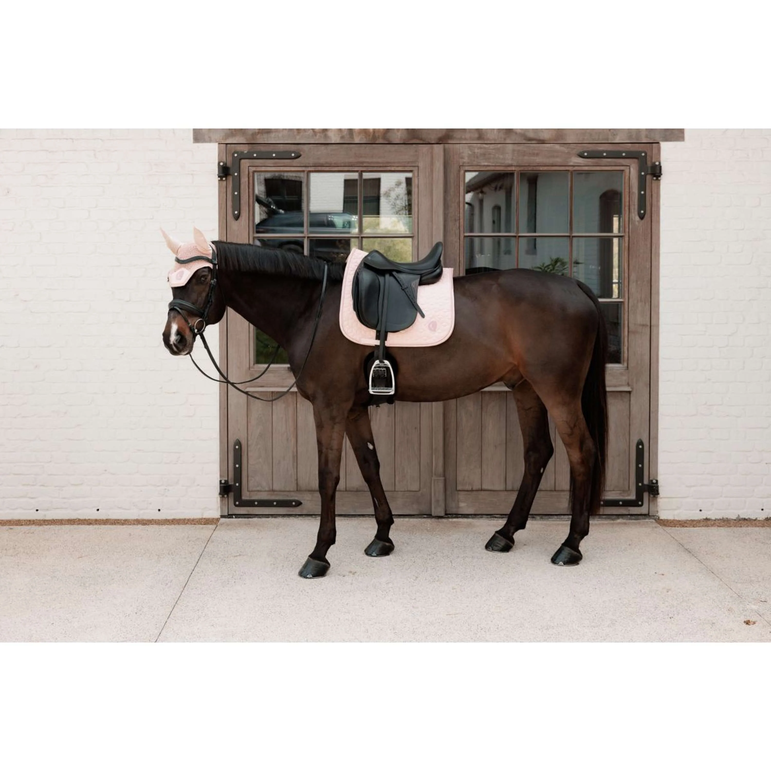 Kentucky Tapis de Selle Sparkling Dressage Old Rose - Image 2