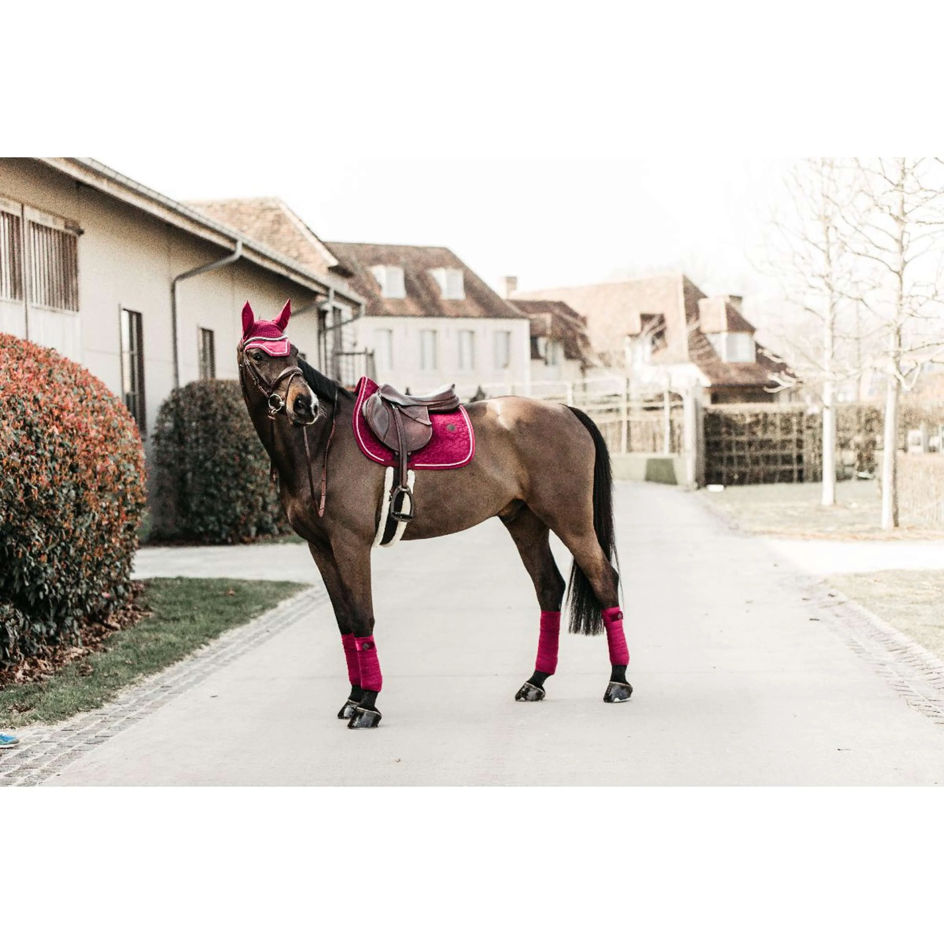 Kentucky Tapis de Selle Velvet de Saut Fuchsia - Image 4