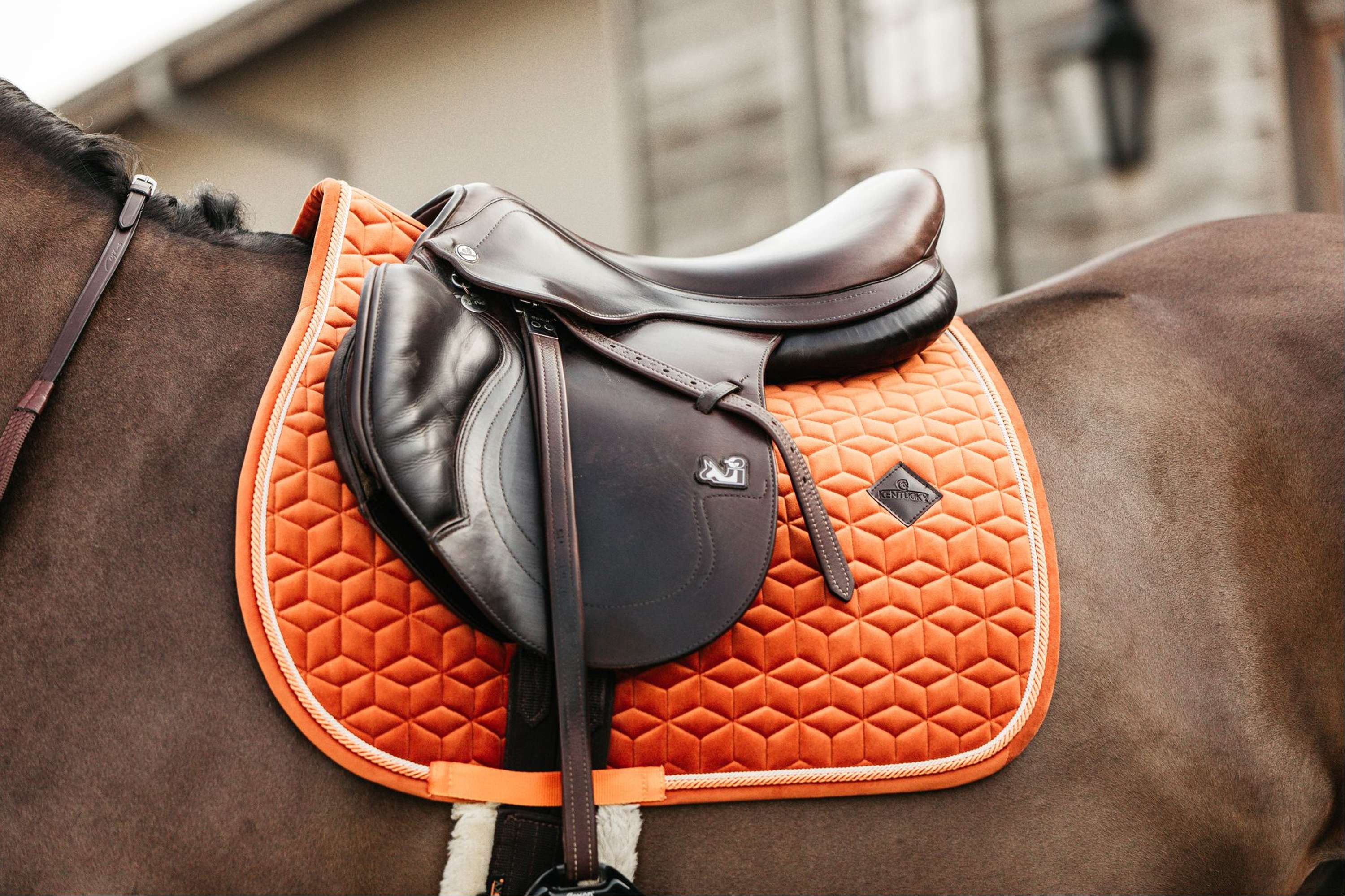 Kentucky Tapis de Selle Velvet Orange - Image 2